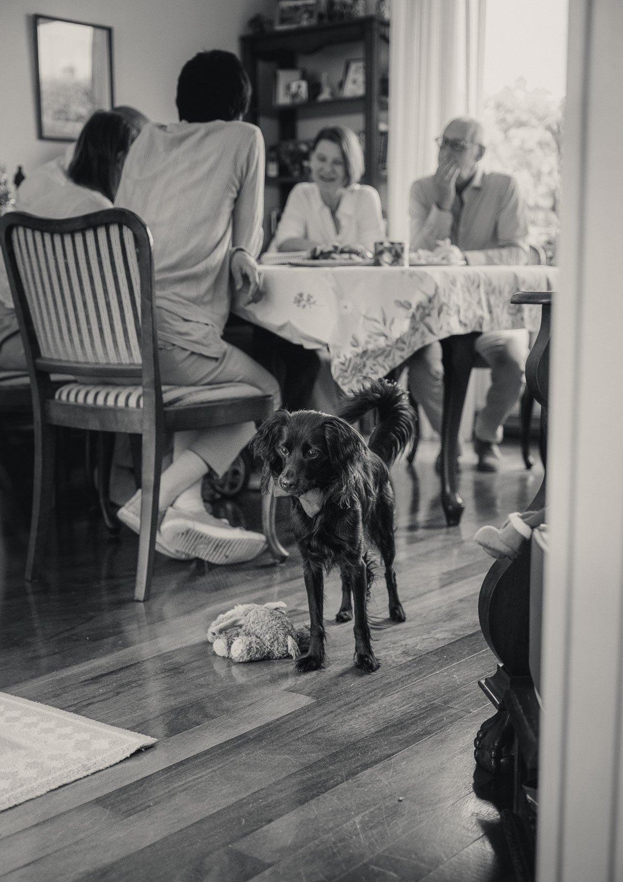 Familie fotoshoot met oma en hond