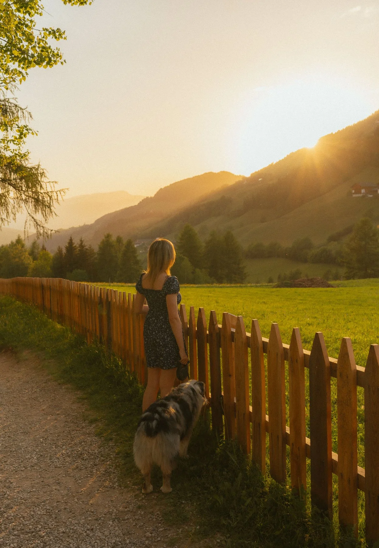 Een jonge vrouw met een bloemenjurk en haar hond kijken uit over een landschap met groene velden, bomen en heuvels tijdens zonsondergang.
