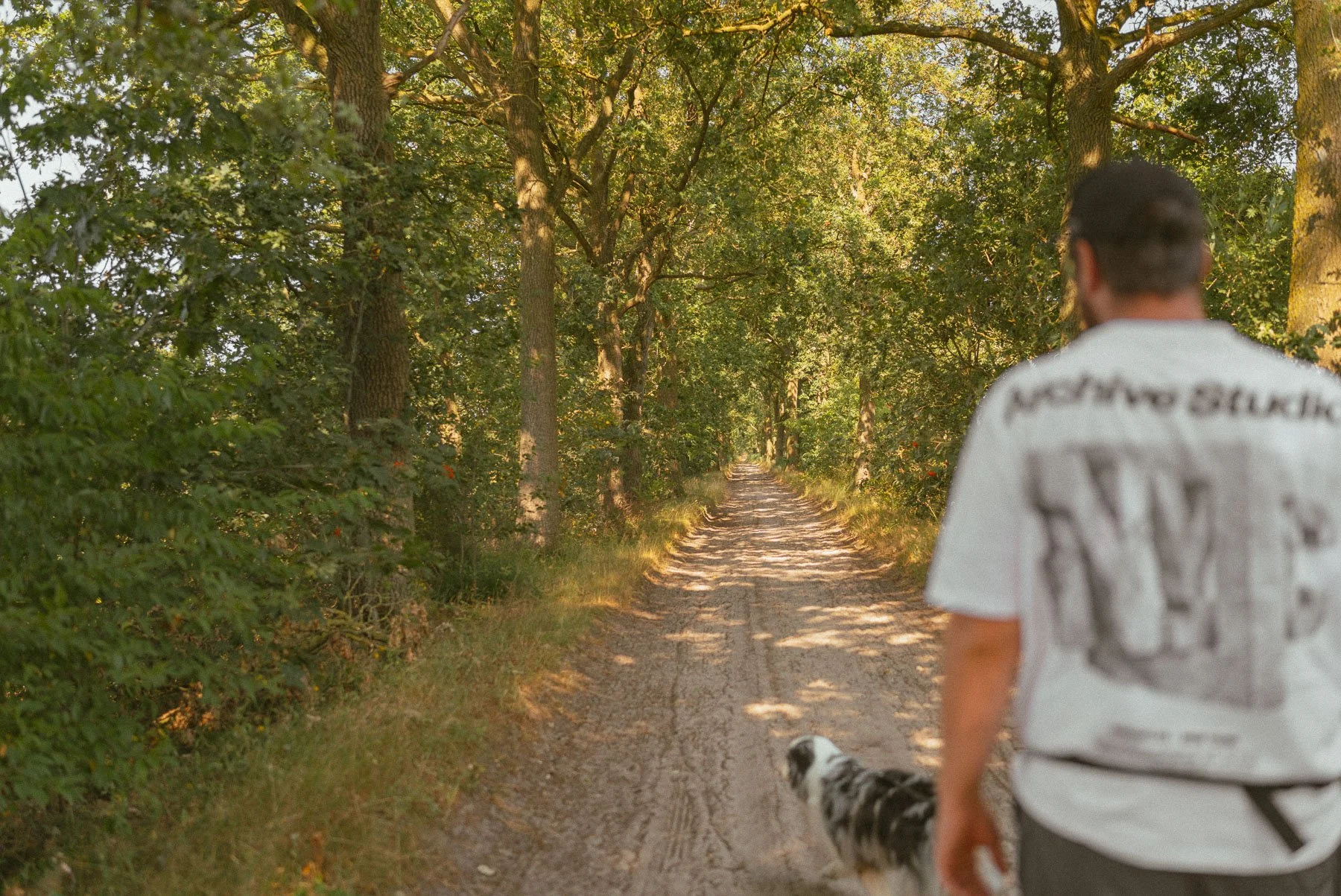 Zanderig begin van het wandelpad op de Kampina
