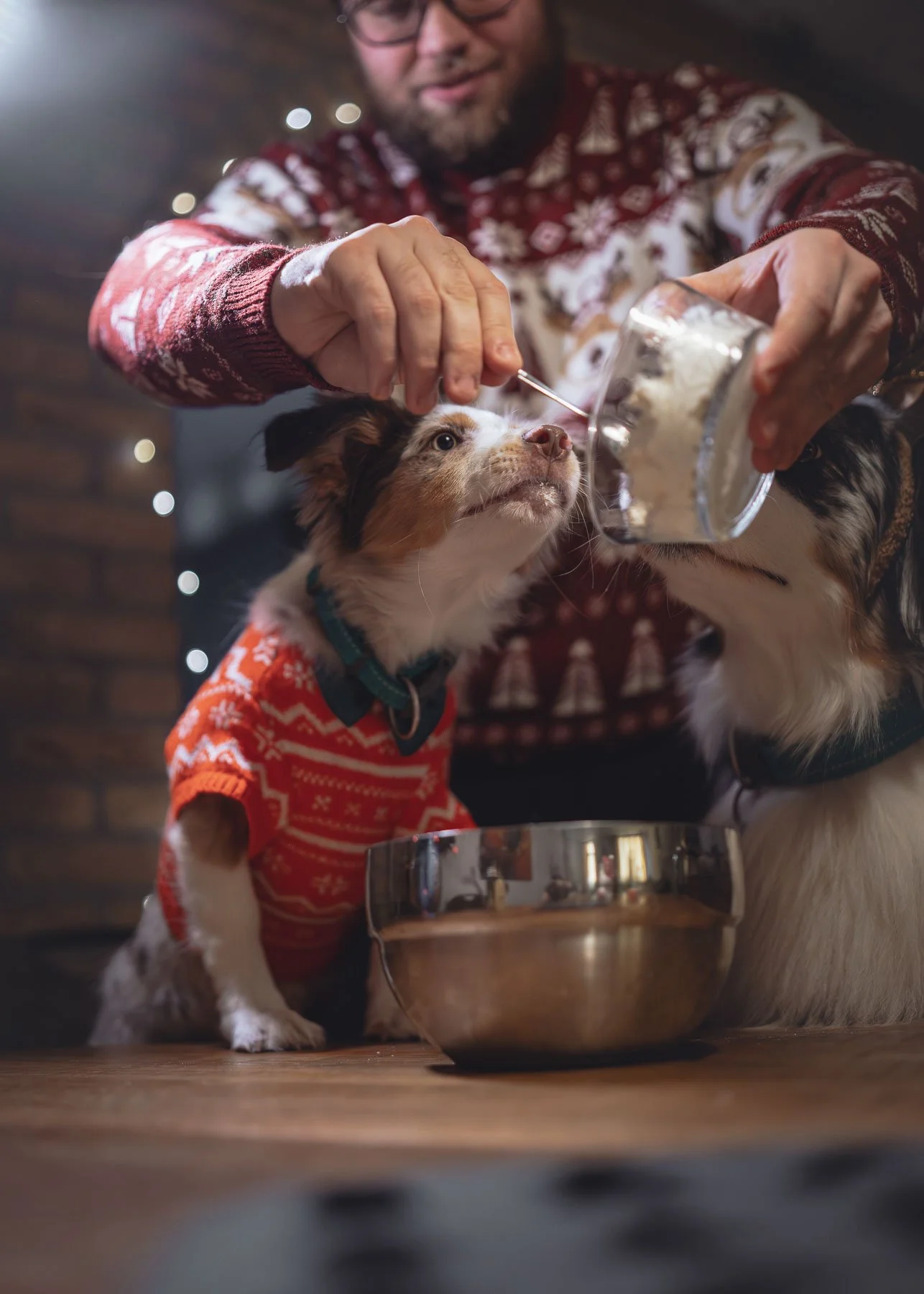 Lifestyle pet brand photography showing food preparation and interaction between owner and dogs.
