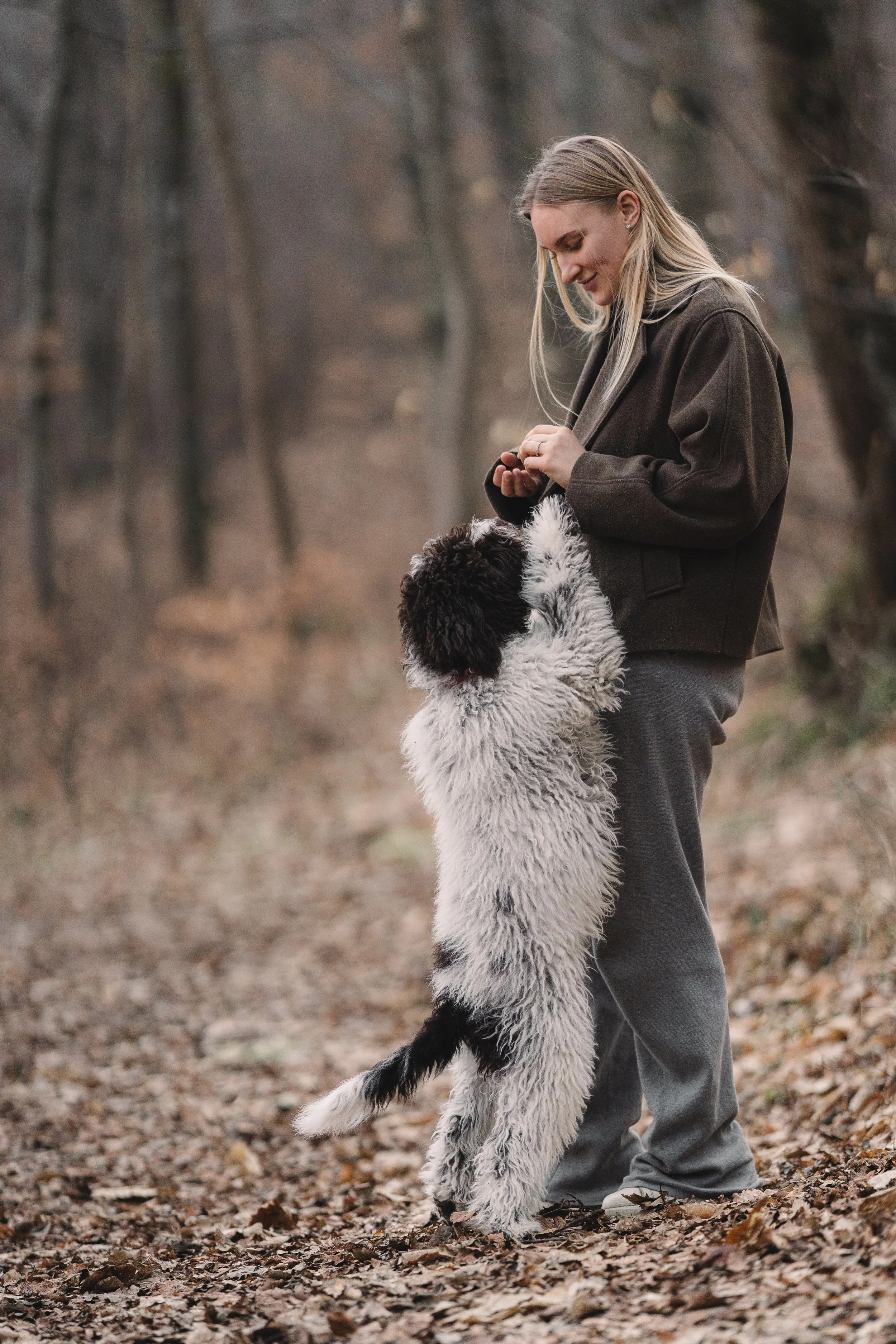 actie foto van vrouw met grote hond in bos met herfstbladeren op de grond