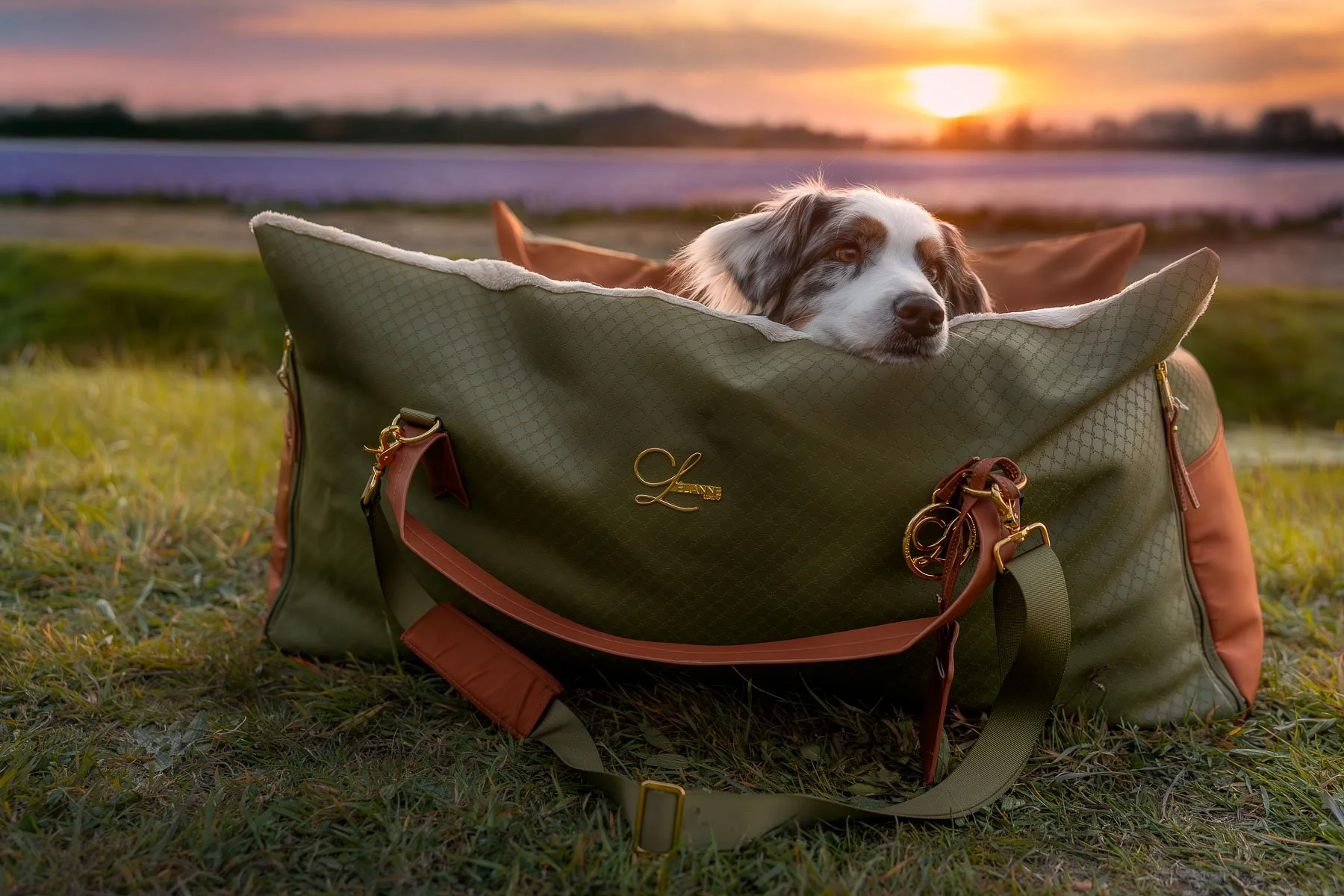 Premium lifestyle product photography featuring a dog inside a luxury travel bag during golden hour. Ideal for high-end pet brands, travel gear, and campaigns focused on elegance, lifestyle, and aspirational storytelling.