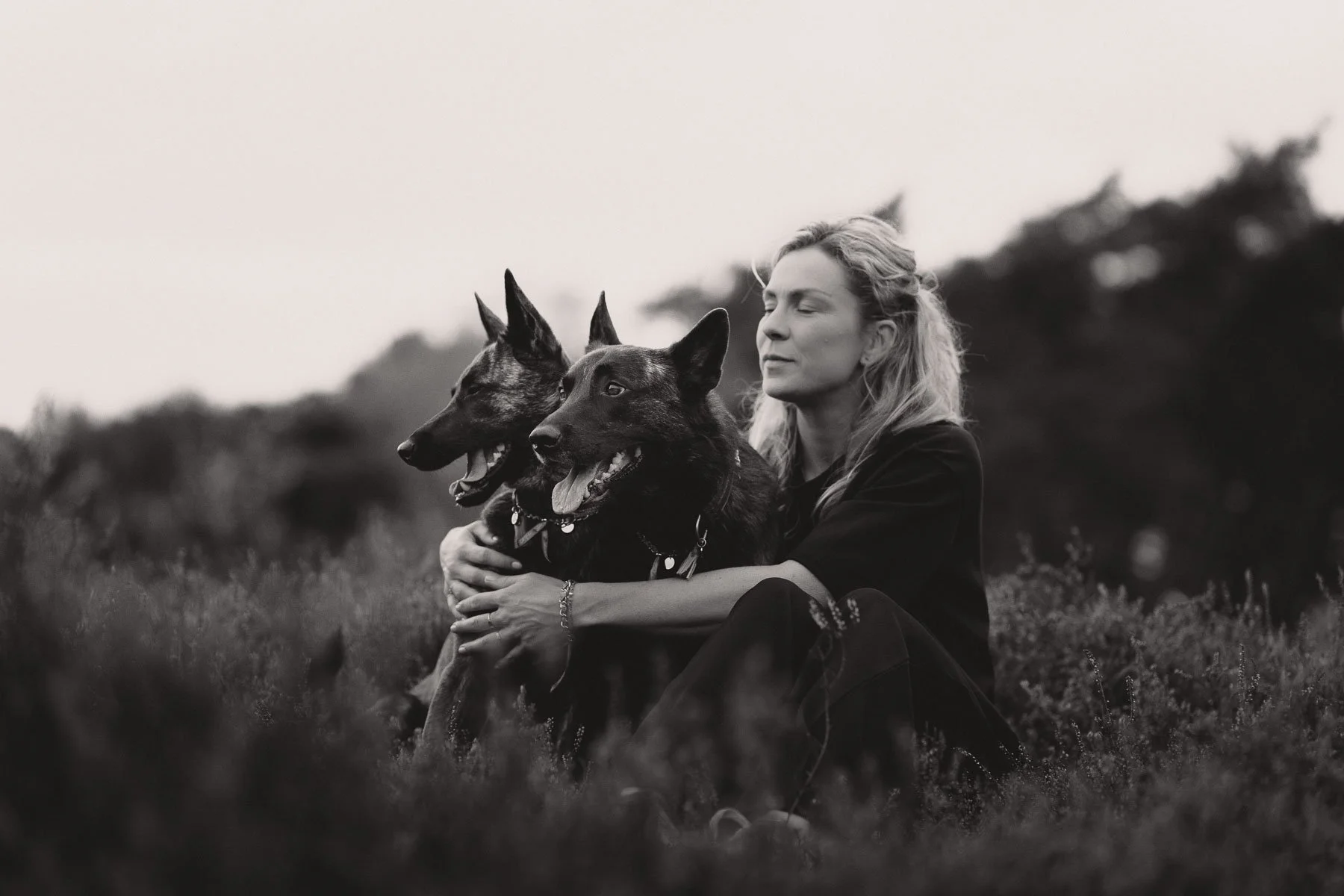 zwart-wit-fotografie-met-dutch-shepherds-nederlands.jpg