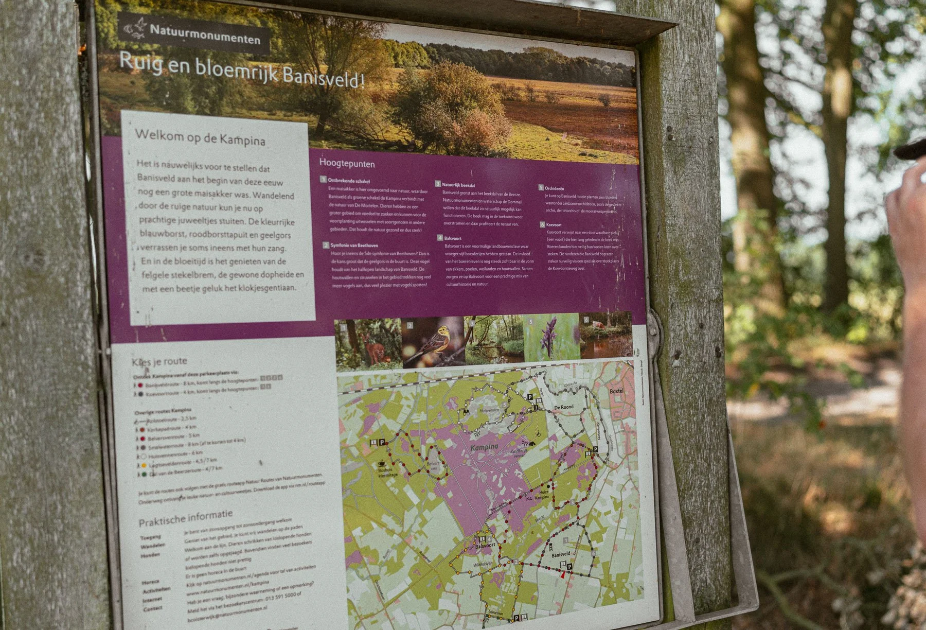 Kaart van de volledige Kampina-wandelroute bij het startpunt
