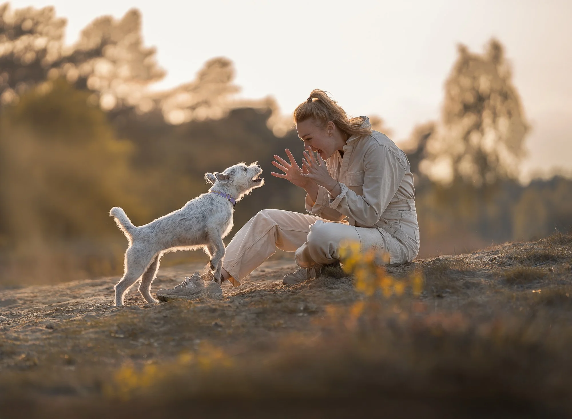 Een jonge vrouw en een kleine witte hond spelen samen buiten tijdens zonsondergang in een landelijke omgeving.