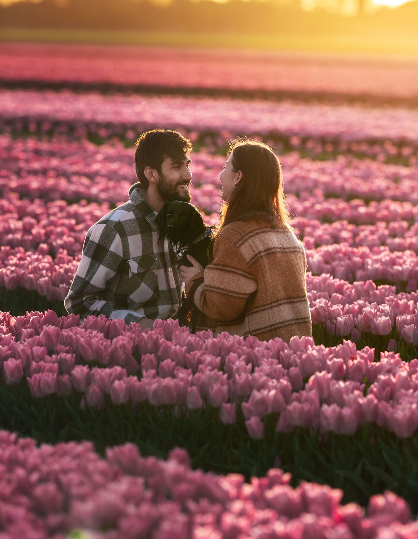 Een paar met een hond in een veld met roze tulpen tijdens zonsondergang.