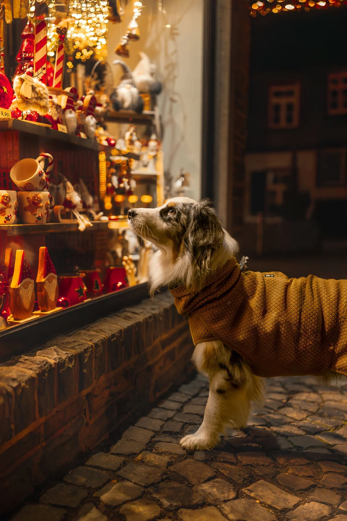 Hond in een bruin jas kijkt naar kerstversieringen in een winkeldeur, onder warme lampverlichting, op een geblokte stenen straat.