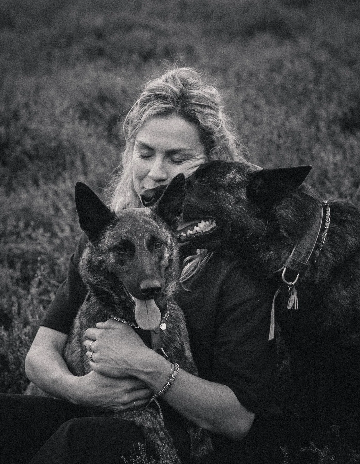 band-tussen-honden.jpg