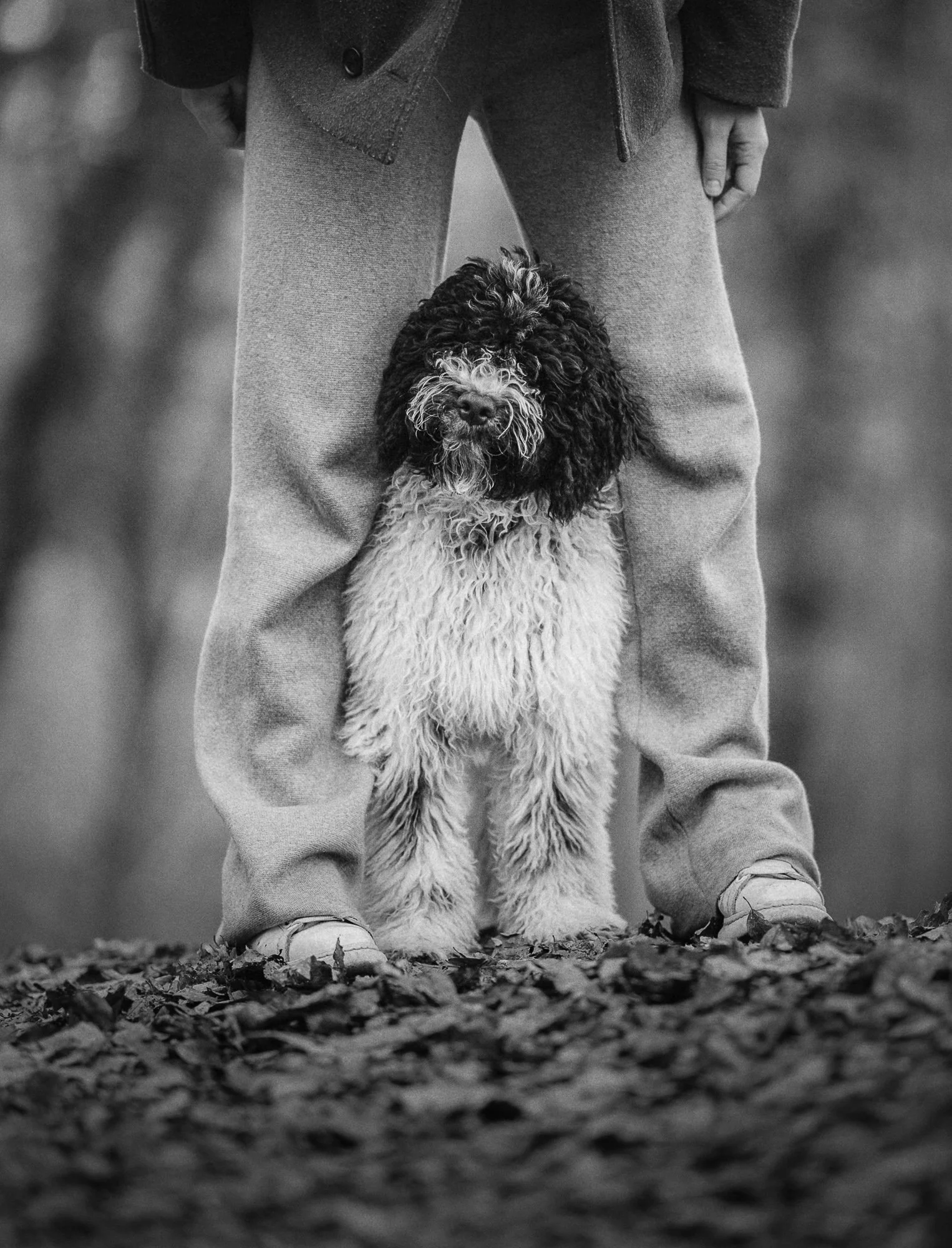 Een persoon die buiten staat met een pluizige hond met krullende vacht tussen zijn of haar benen, vastgelegd in zwart-wit.