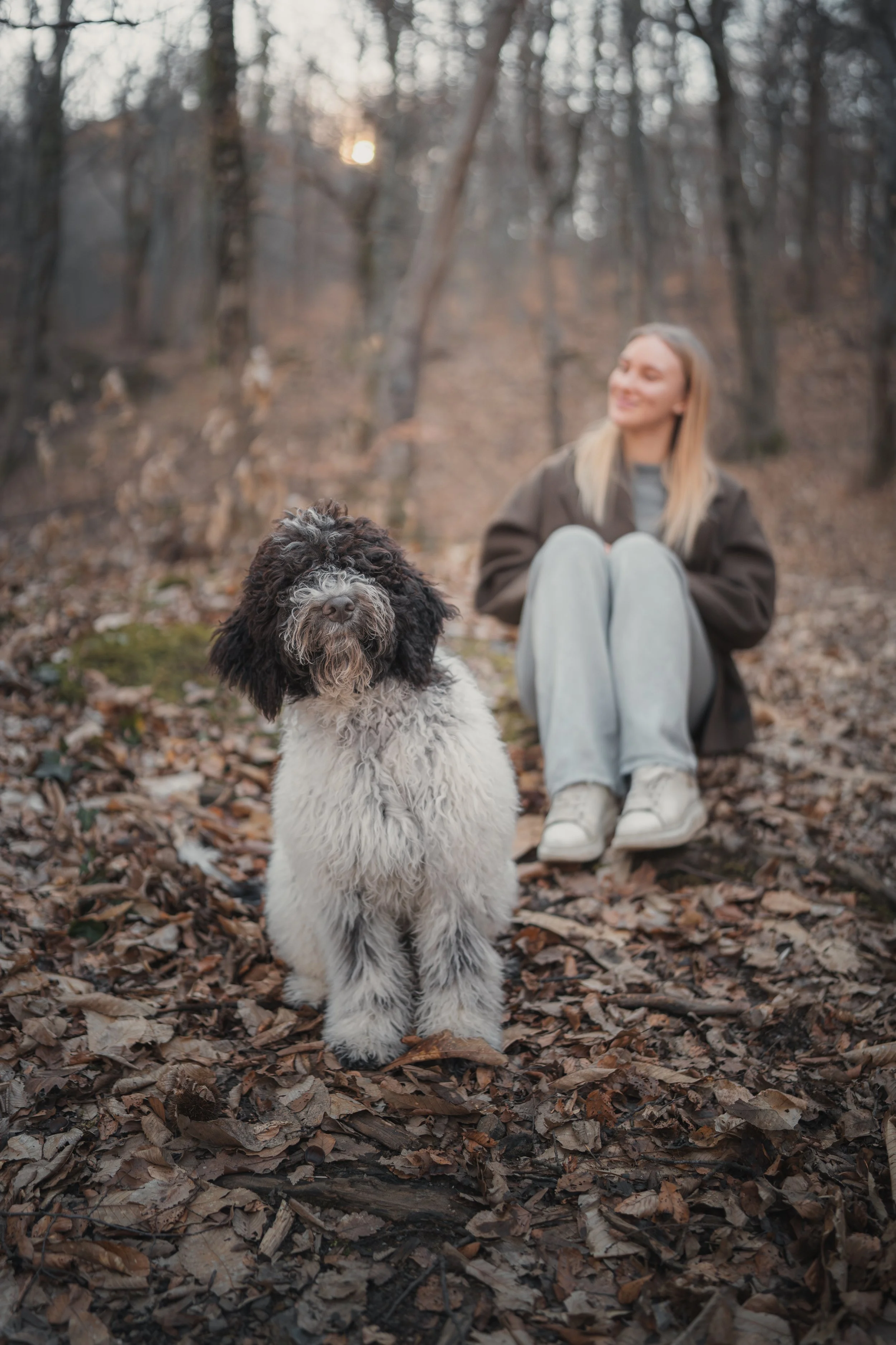 vrouw zit in bos met zwart witte hond die naar camera kijkt in rustige sfeer