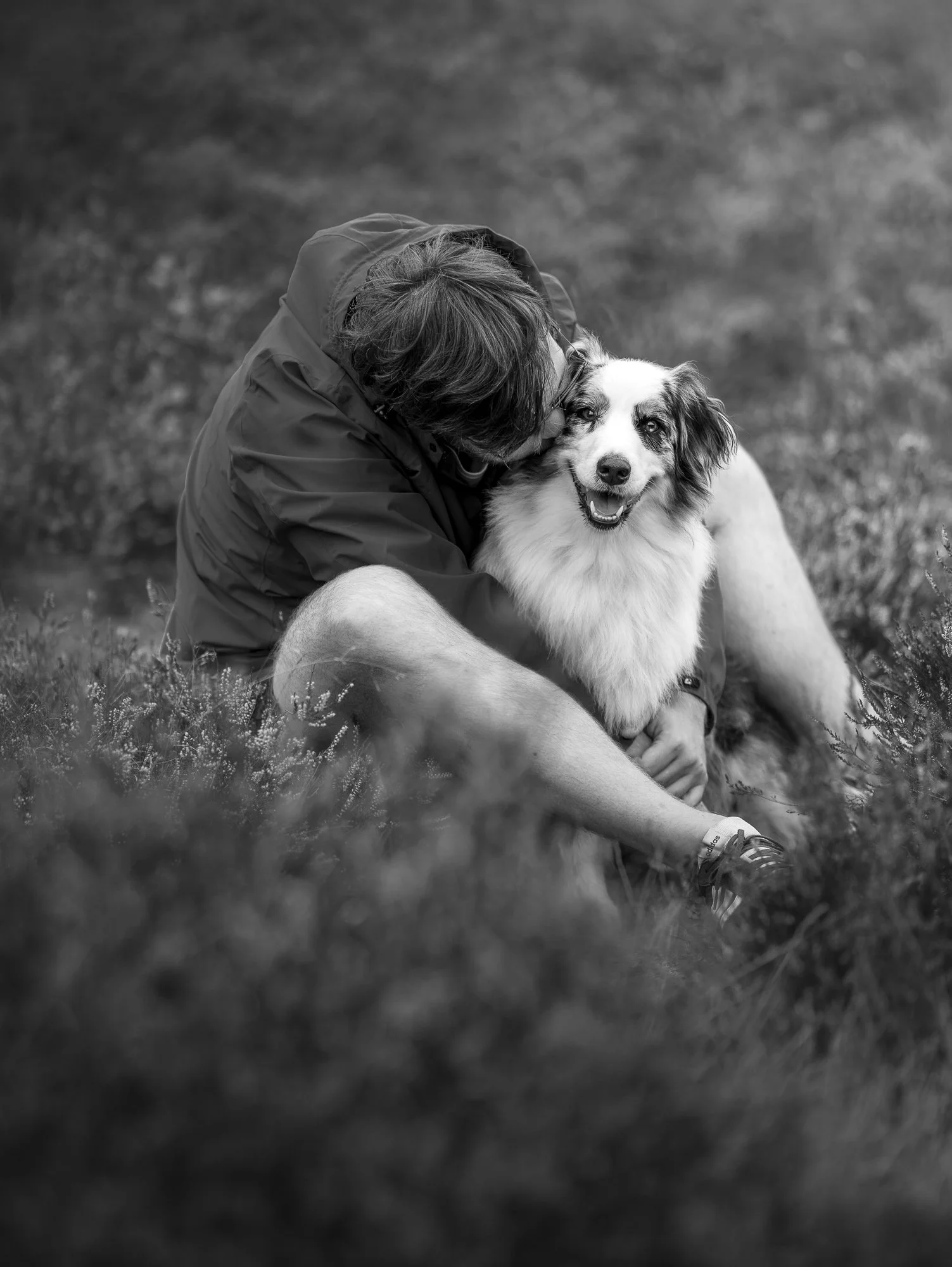 zwart-wit-foto-met-australische-herder-heide-nederland