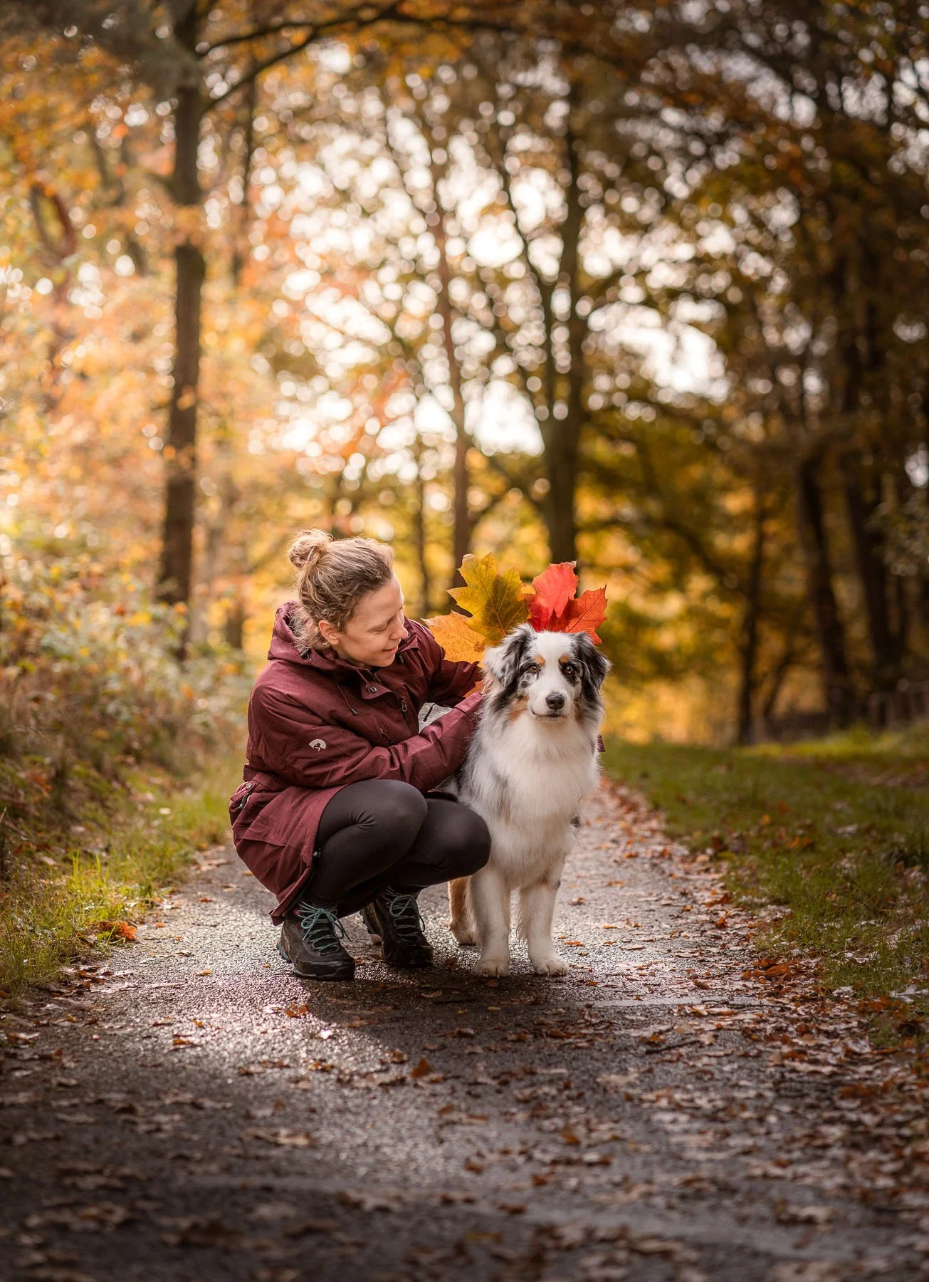 Warm autumn lifestyle photography featuring a woman and her dog on a forest path. Ideal for outdoor brands and pet companies looking to evoke seasonal storytelling, connection, and natural moments.