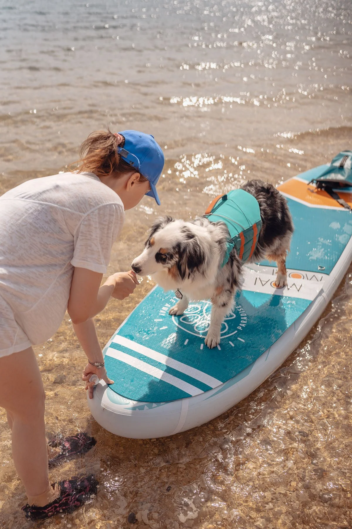 Dog standing on MOAI SUP dog deckpad during product photography shoot