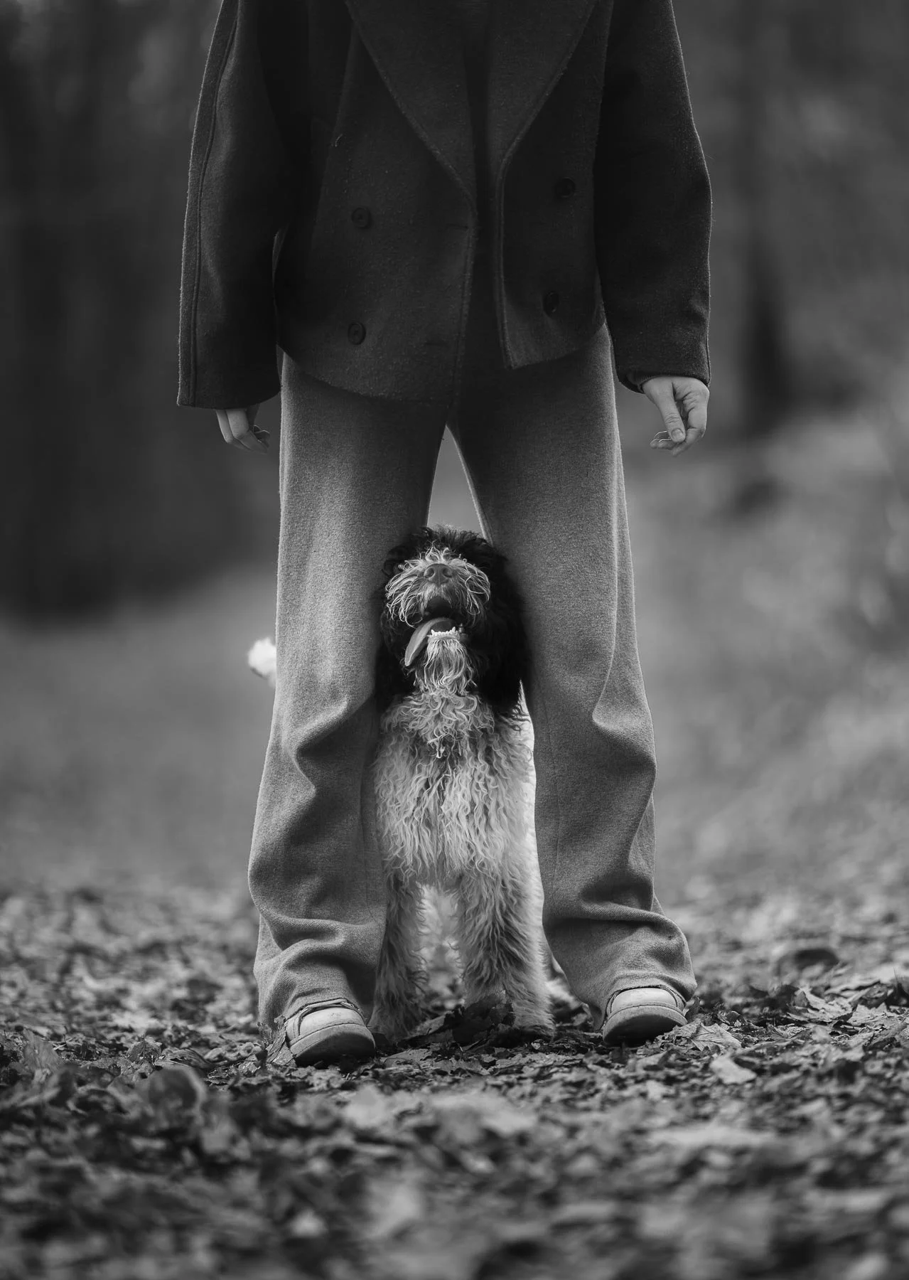 Een persoon in een donkere jas staan met een hond onder hun benen op een bladerenbed, zwart-wit foto.