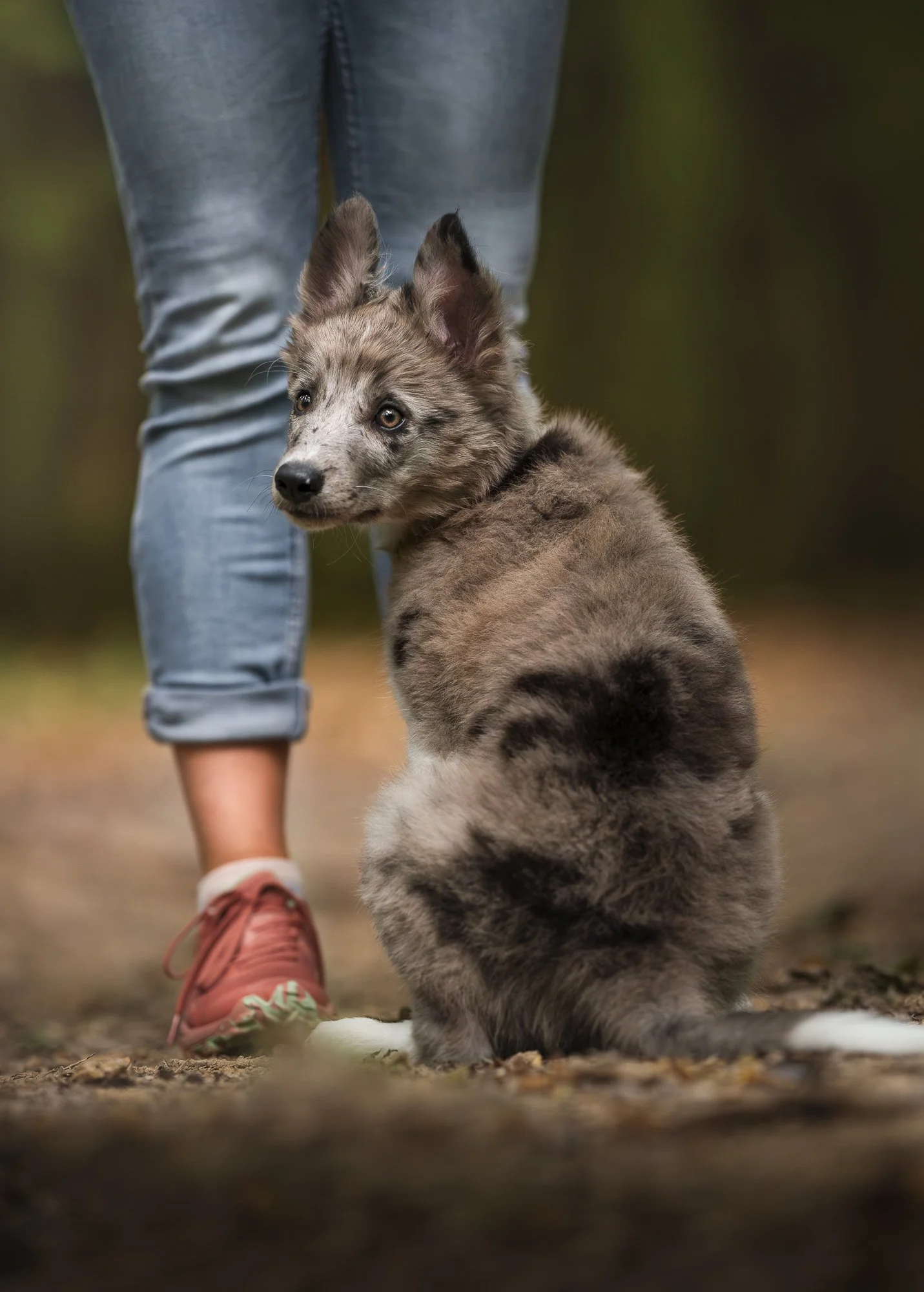 Een pluizige puppy zit op de grond naast een persoon met een blauwe spijkerbroek en roze sneakers, in een buitenomgeving.