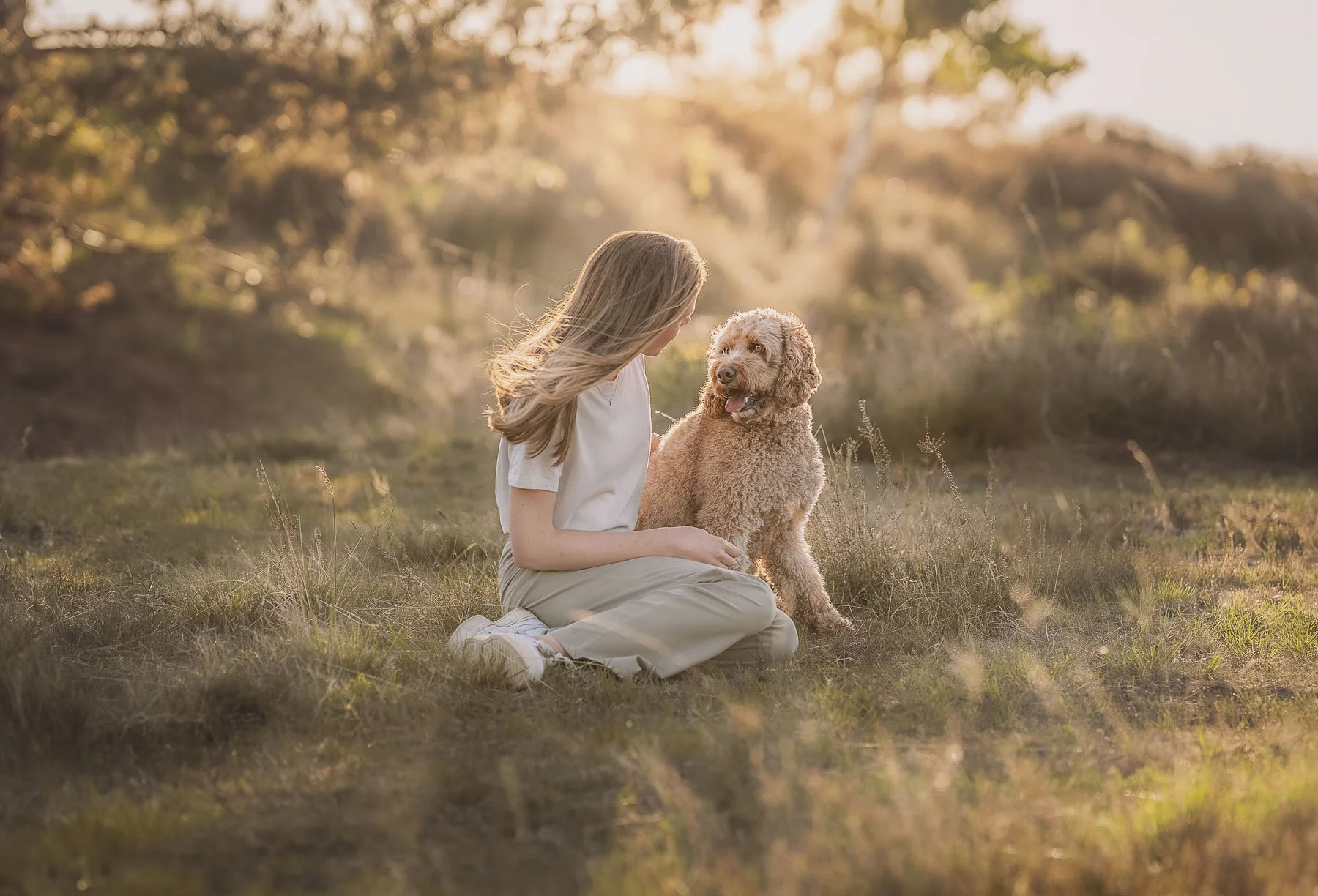 Een vrouw die op de grond zit met een grote, pluizige golden retriever puppy, in een weidse natuurlijke omgeving tijdens zonsondergang.