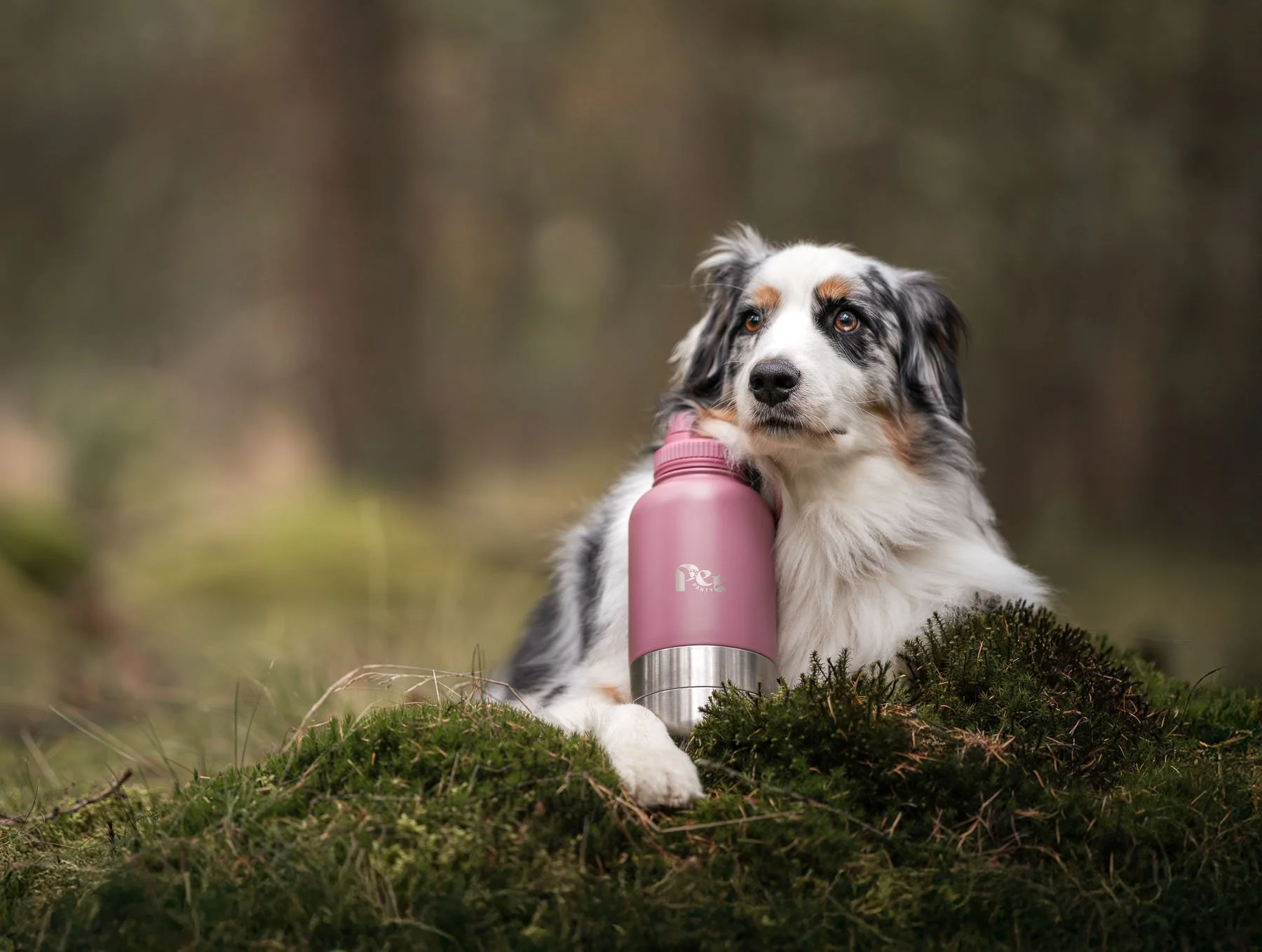 Hero-style commercial dog photography highlighting a pet product in a natural outdoor setting. Designed for pet brands that want clean, premium visuals with strong focus on product and emotional connection.
