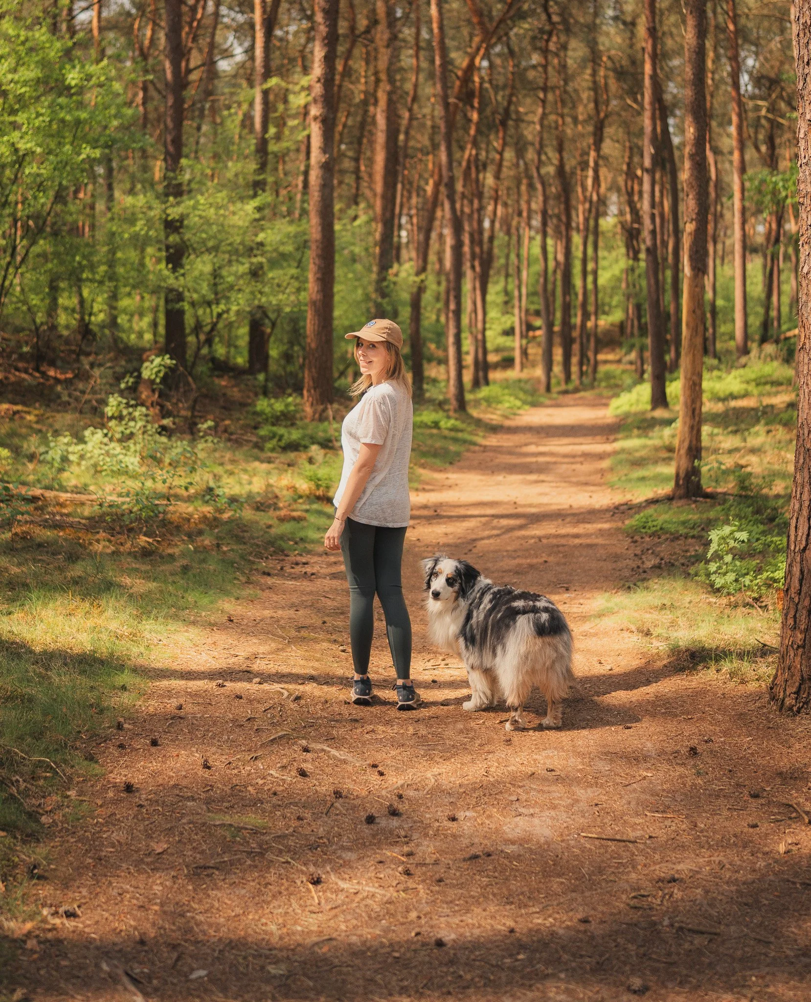 Vrouw wandelt met haar border collie hond door een bos met hoge dennabomen tijdens zonsondergang.