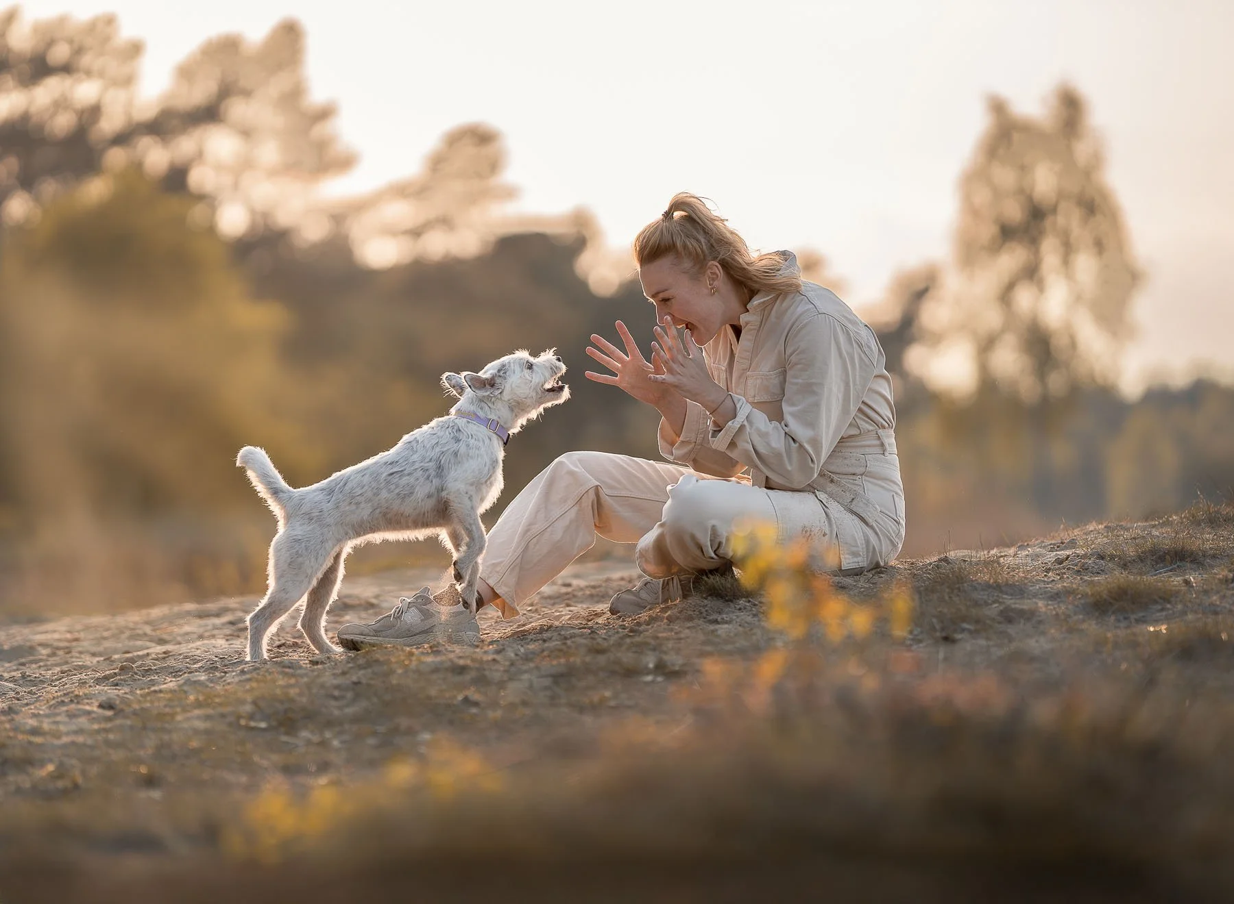 Vrouw speelt met haar hond tijdens een hondenfotoshoot in de natuur bij zonsondergang, vastgelegd met warm golden hour licht door een hondenfotograaf in Nederland.