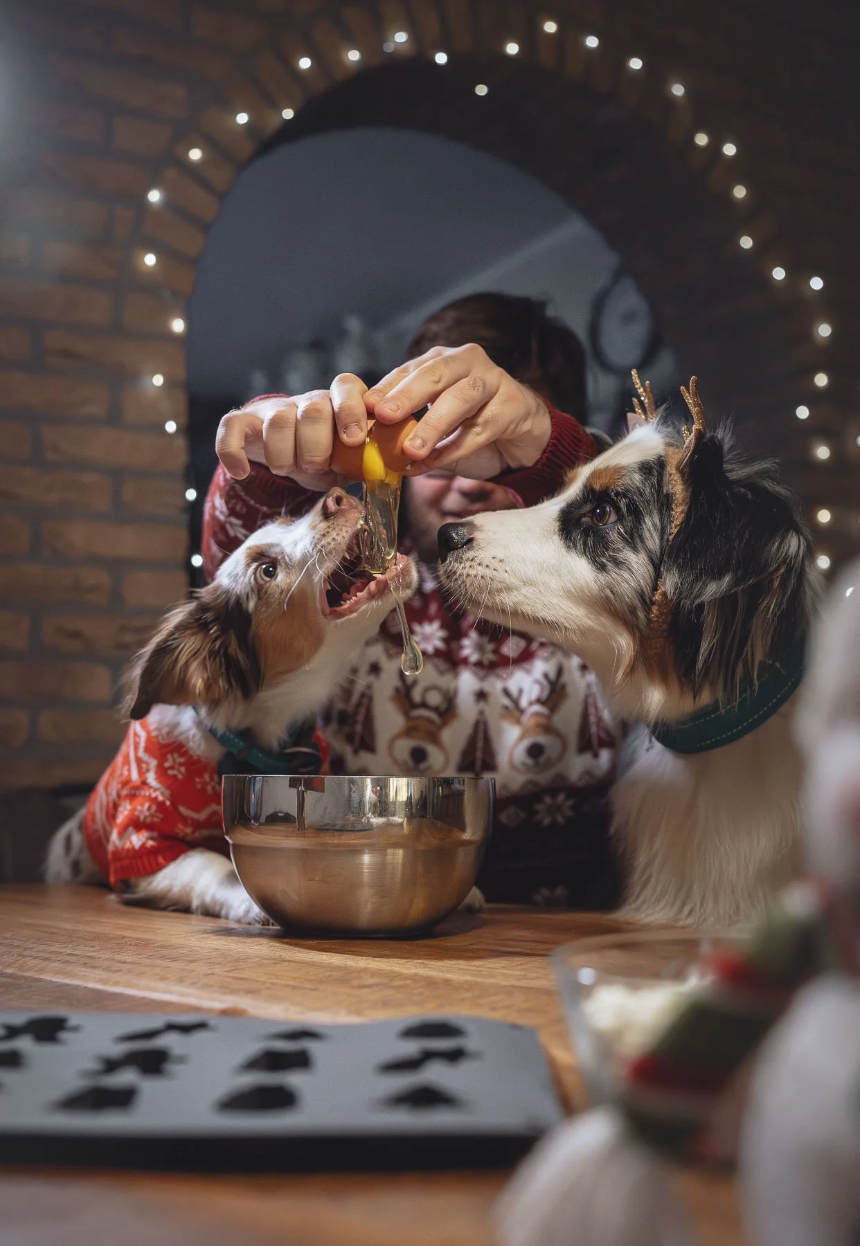 Twee honden, gekleed in kerstoutfits, samen met een persoon die doet alsof ze een citroen ophoudt boven een kom, met kerstlichtjes op de achtergrond, in een feestelijke setting.