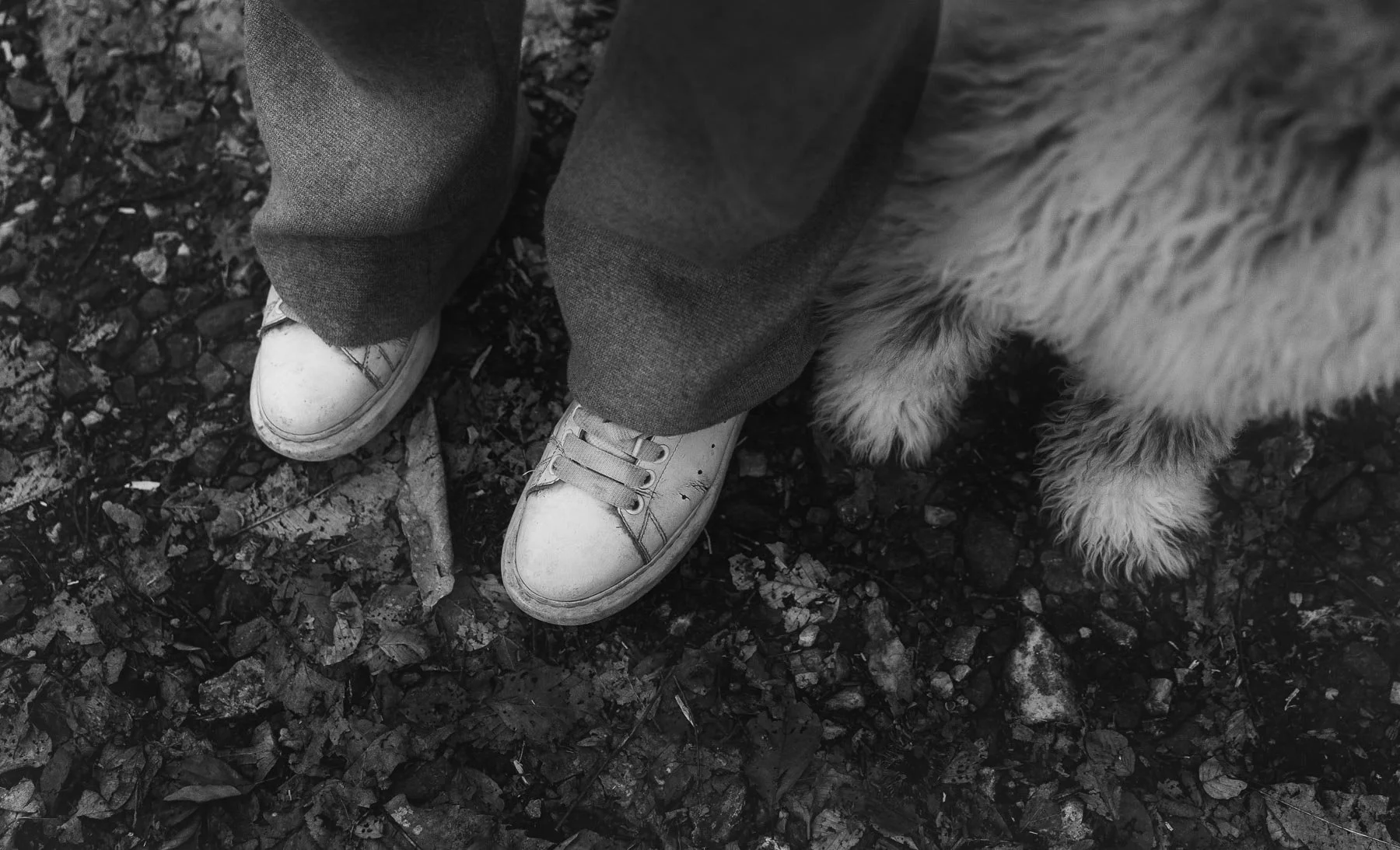 Close-up van een paar witte sneakers met vlekken, gedragen door een persoon met grijze broek, en een grote hond met dikke vacht die naast de persoon staat op een bosachtig, met bladeren bedekt pad.