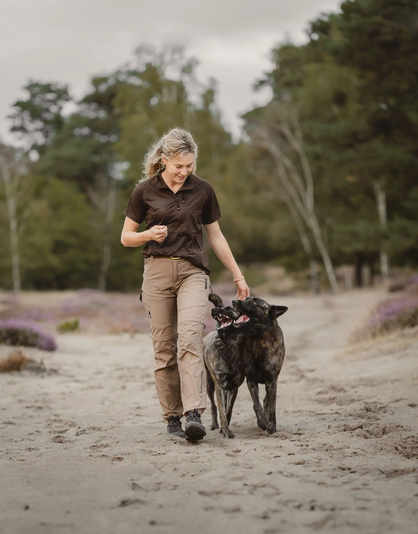 werkhonden-in-actie-nederlandse-herders.jpg