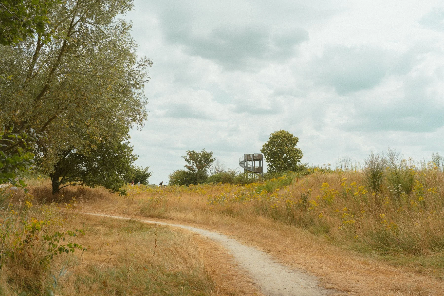 Uitkijktoren Tour de Frans op de Kampina