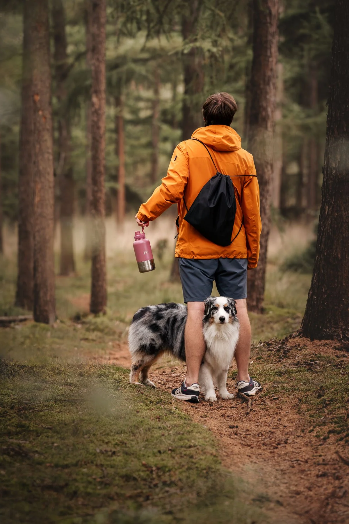 Authentic dog lifestyle photography capturing a training moment between dog and owner in nature.