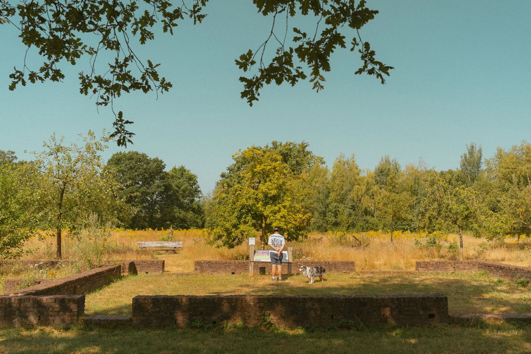 Restanten van boerderij Balsvoort op de Kampina, met een WOII-verleden