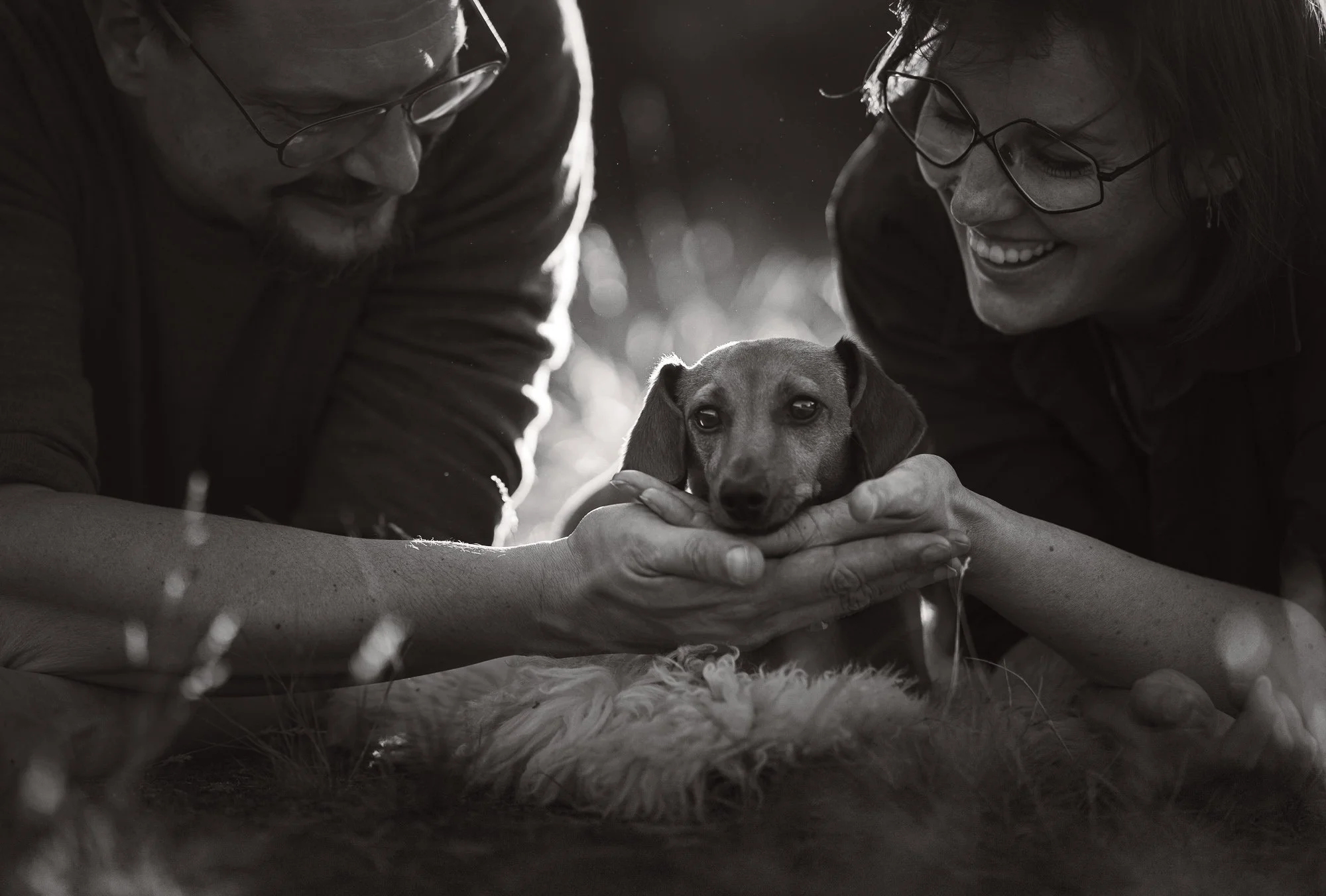 Zwart-wit fotosessie met teckel en eigenaren in heide en duinen met focus op sfeer en emotie