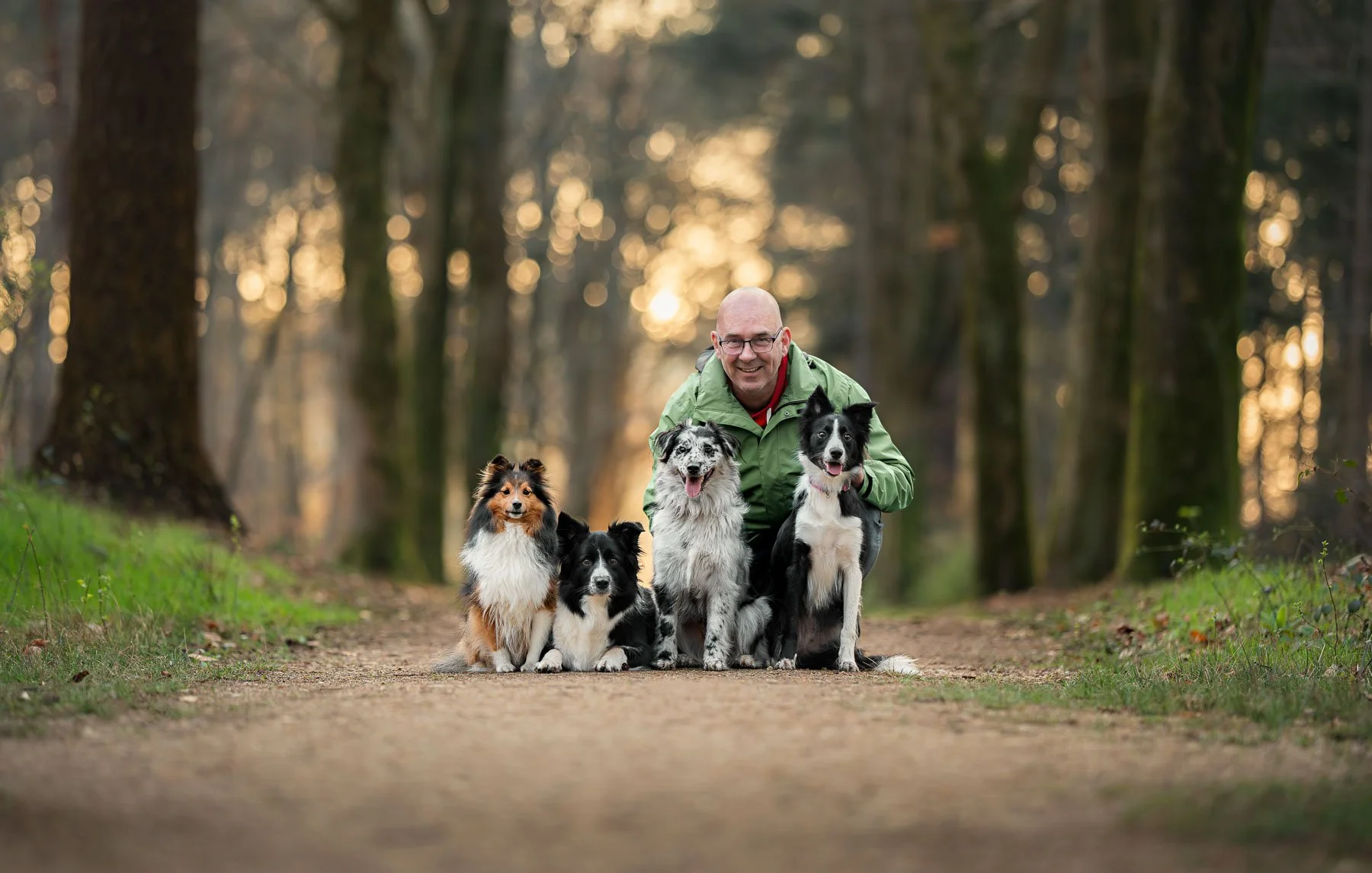 Baasje met zijn vier honden op een bospad tijdens hondenfotoshoot