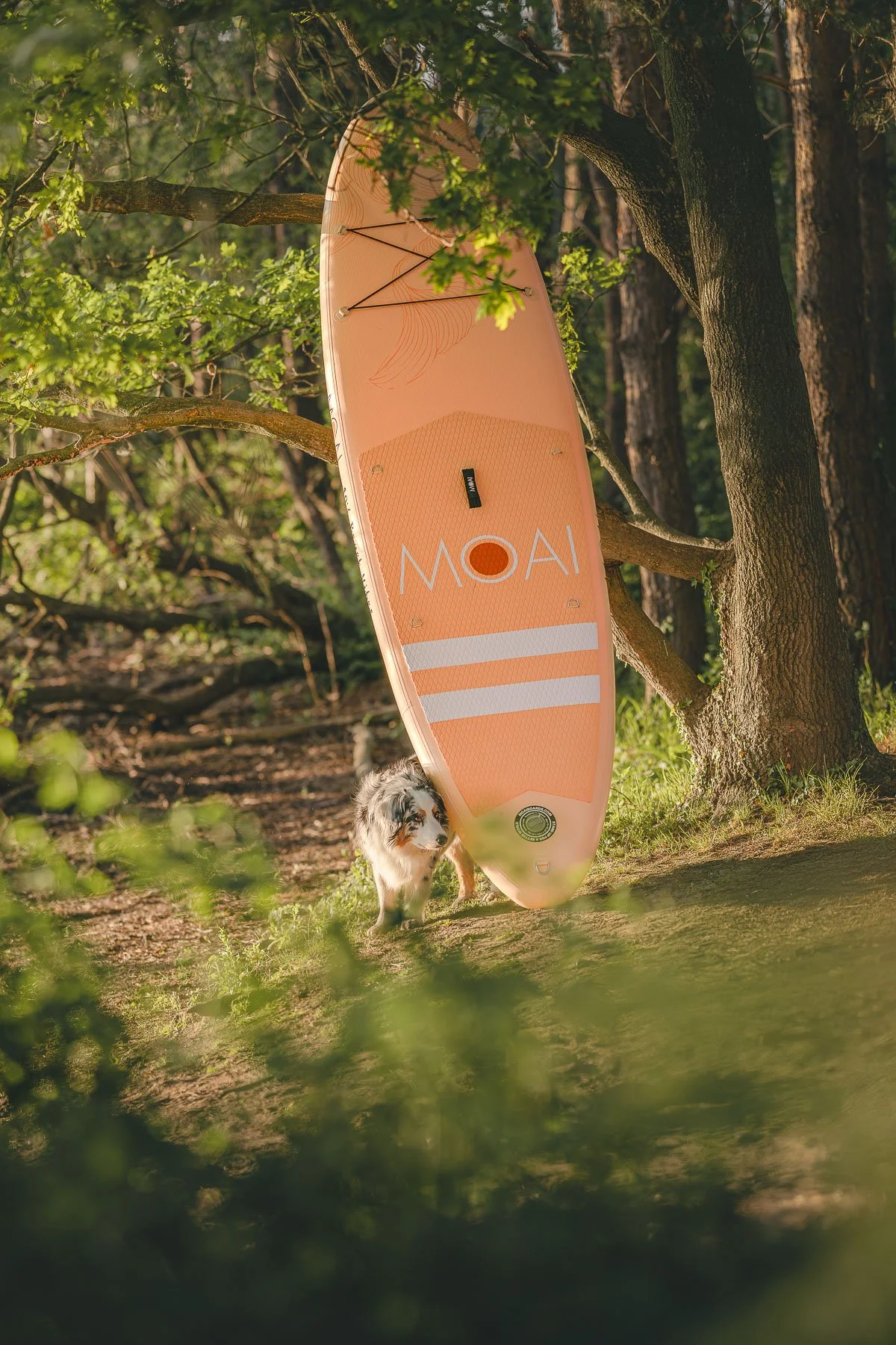 Outdoor product photography showcasing a MOAI paddleboard in a natural forest setting. Perfect for outdoor brands looking for clean, aesthetic visuals that highlight product design in real-world environments.