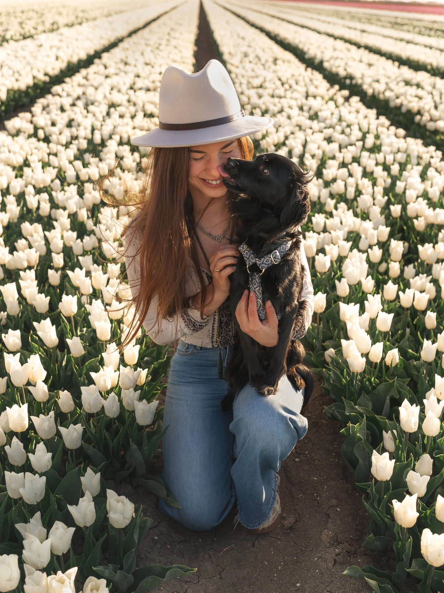 Vrouw knielt tussen witte tulpen in een veld, knuffelt haar zwarte hond die haar likt, zonsondergang, vrolijke sfeer.