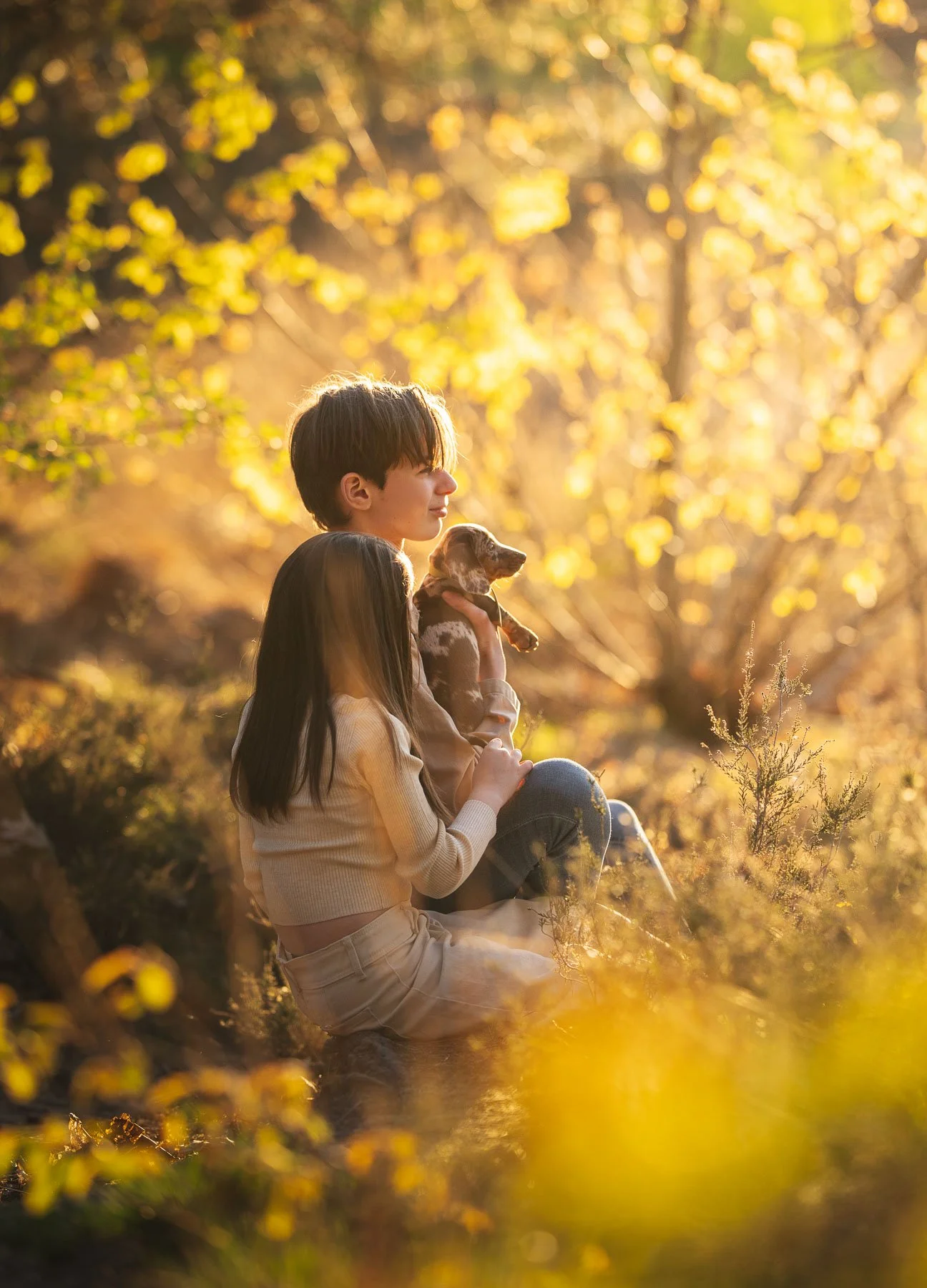 Twee jonge kinderen, één meisje en één jongen, zitten samen in een zonovergoten bos, waarbij de jongen een puppy vasthoudt en de kinderen genieten van de herfstkleur en het serene landschap.