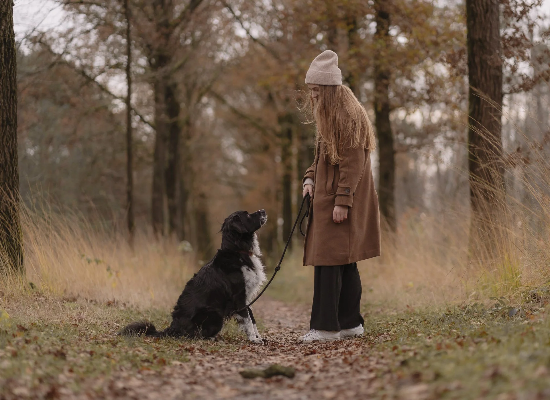 Wandeling in herfstkleur met gezin + hond.jpg