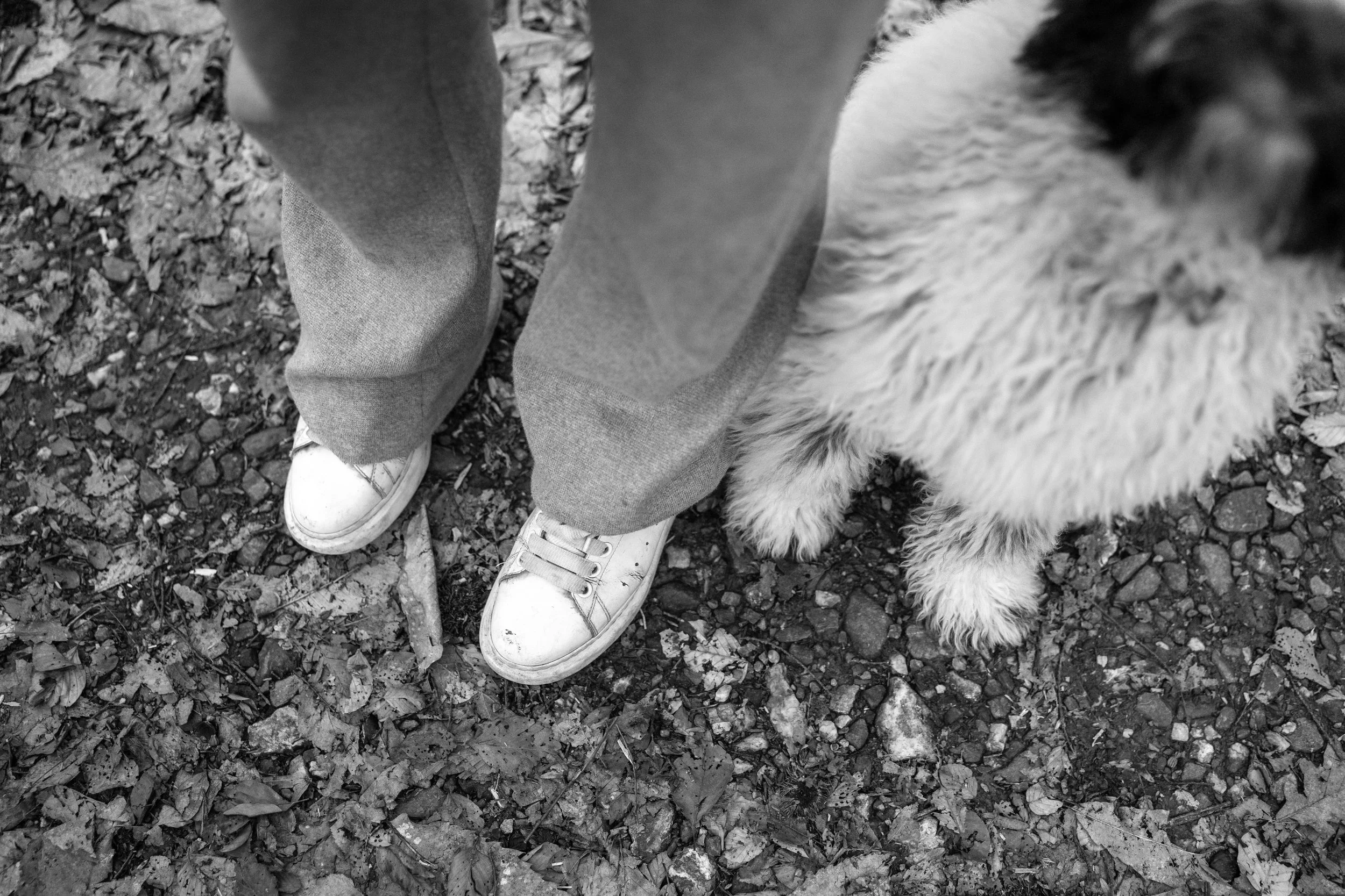 zwart wit close up van benen en sneakers op grond met bladeren en hond ernaast