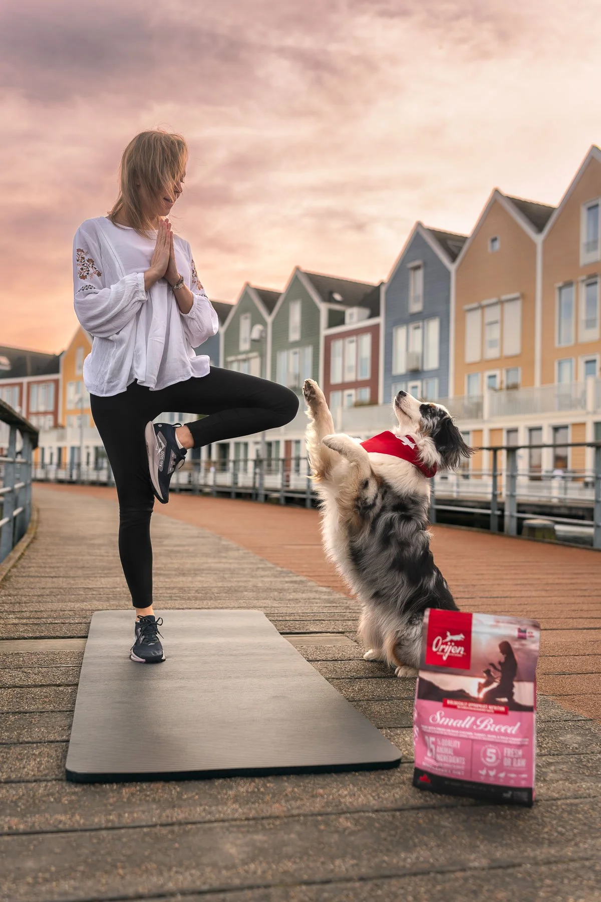 Vrouw doet yoga op een mat terwijl haar hond, een border collie, op zijn achterpoten staat en haar hand probeert te high-fiven. Het is sunset en er zijn kleurrijke huizen op de achtergrond.