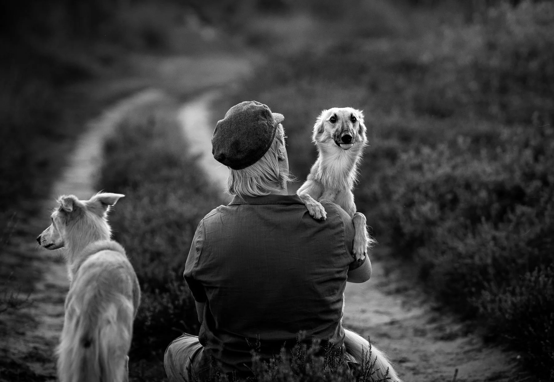 Zwart-wit hondenfotoshoot van een baasje met twee honden in de natuur, waarbij één hond in de camera kijkt tijdens een rustige lifestyle fotoshoot in Nederland.