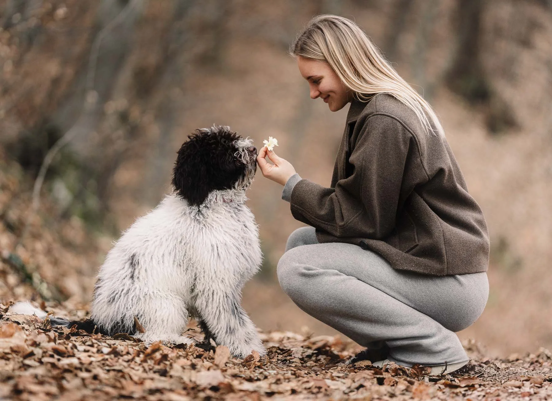 Vrouw die een witte en zwarte hondenras een bloem geeft in een bos met bladeren op de grond.