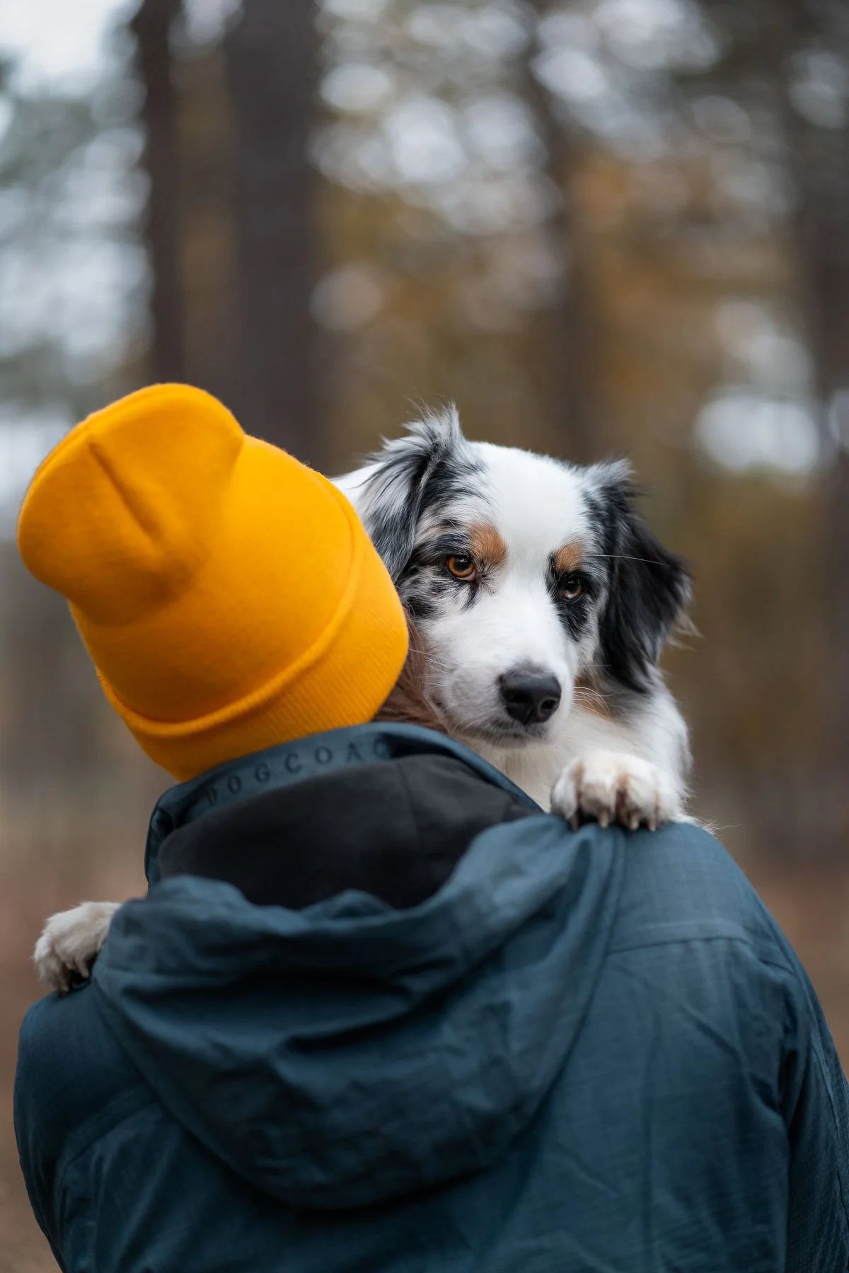 Lifestyle dog photography capturing a close emotional moment between dog and owner in a natural outdoor setting