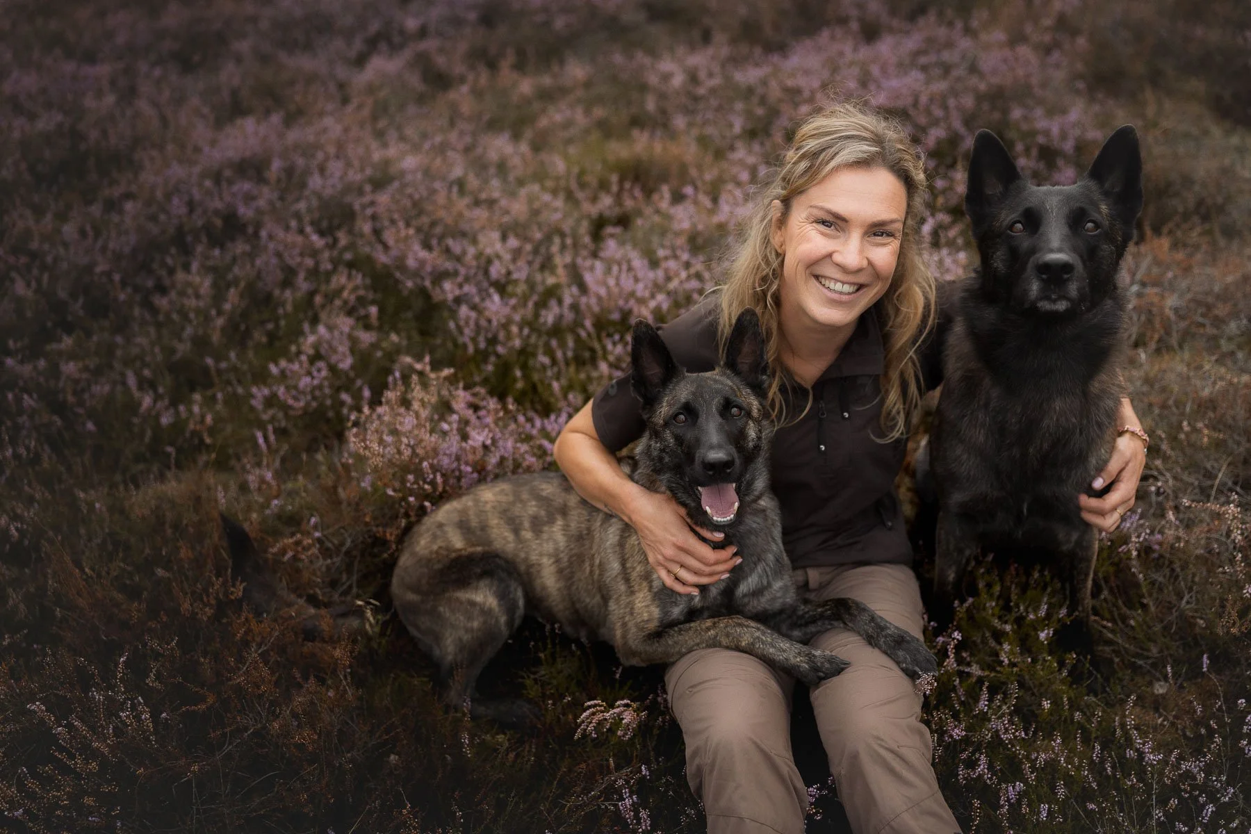 dutch-shepherds-fotografie-fotoshoot-oss.jpg