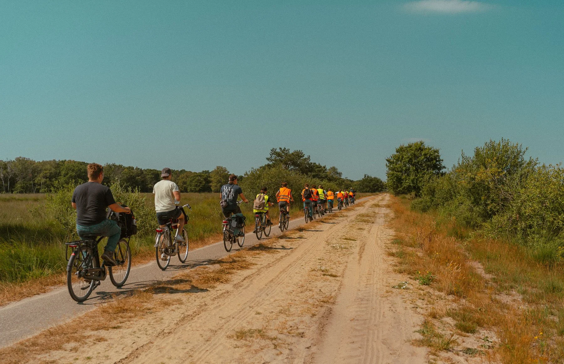 Fietspad over de Kampina-heide