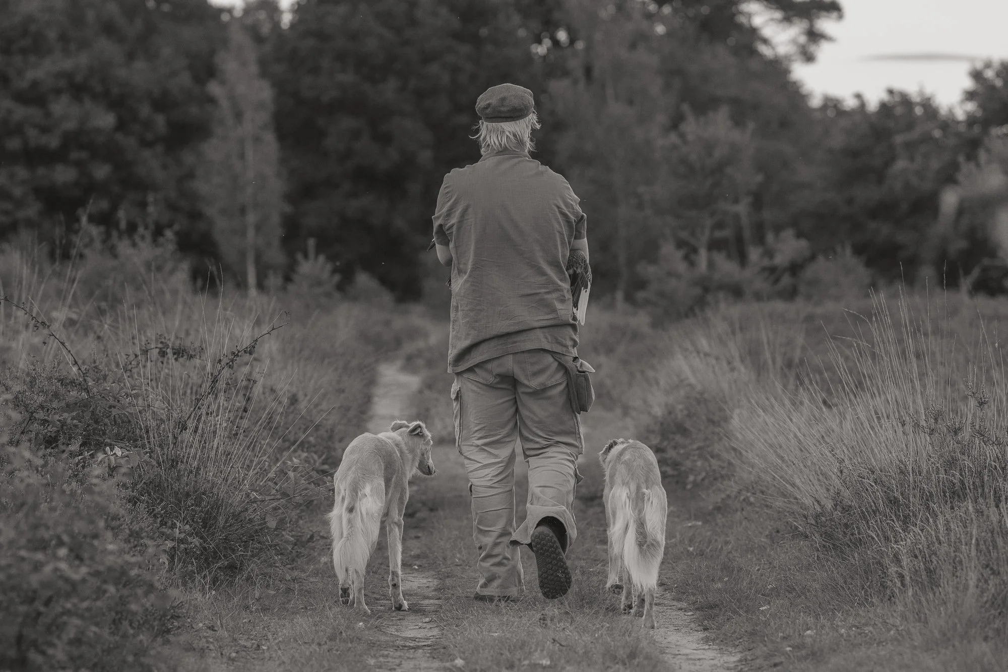 lifestyle foto zwart wit hond en mens