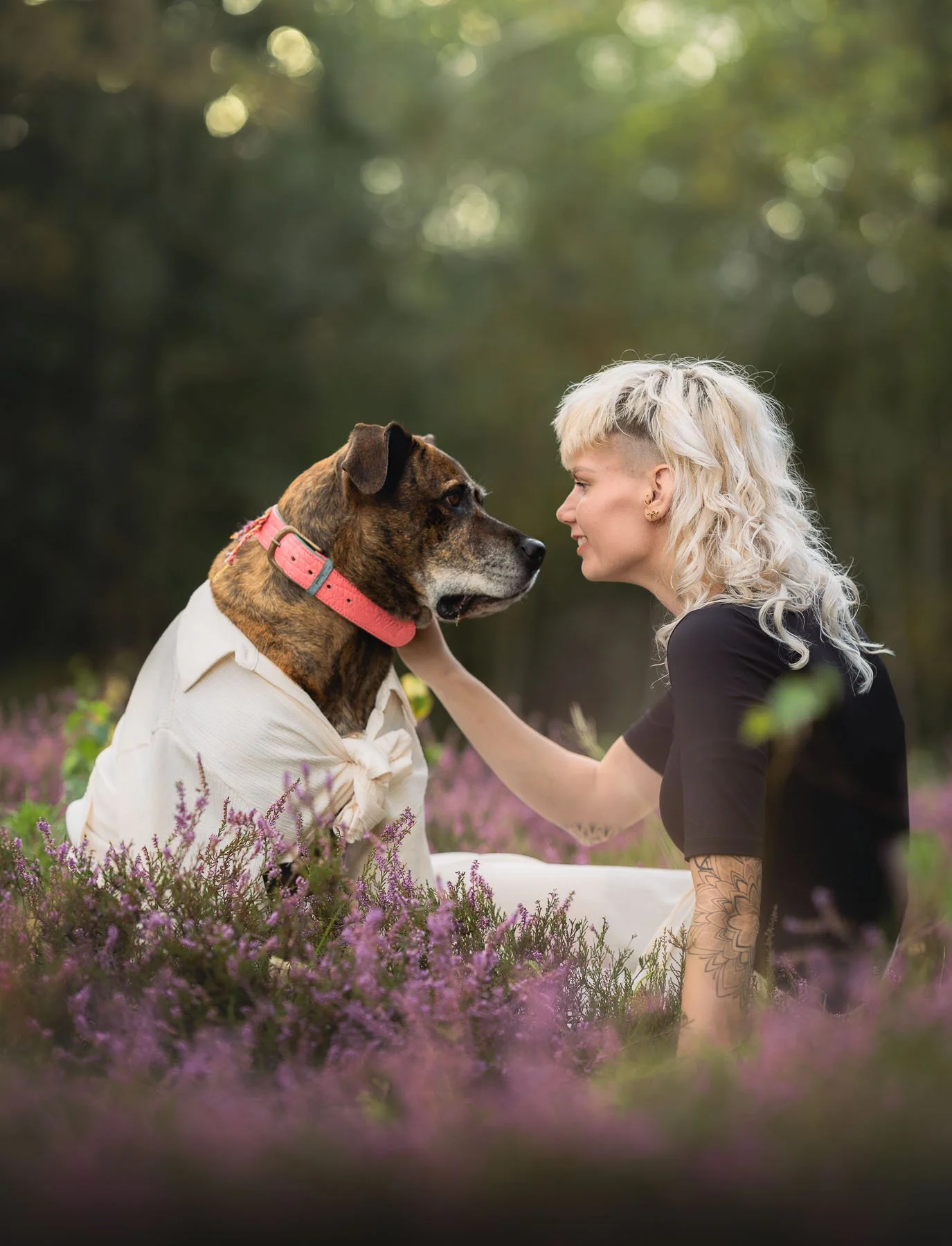 Een vrouw en een grote bruine hond kijken naar elkaar in een veld met paarse bloemen, omringd door een bos met groene bladeren.