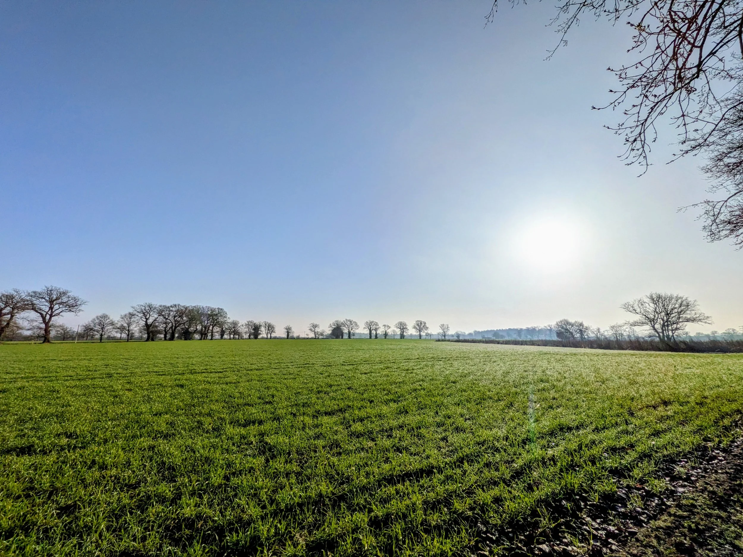 Suffolk BKA AGM with guest speaker & refreshments