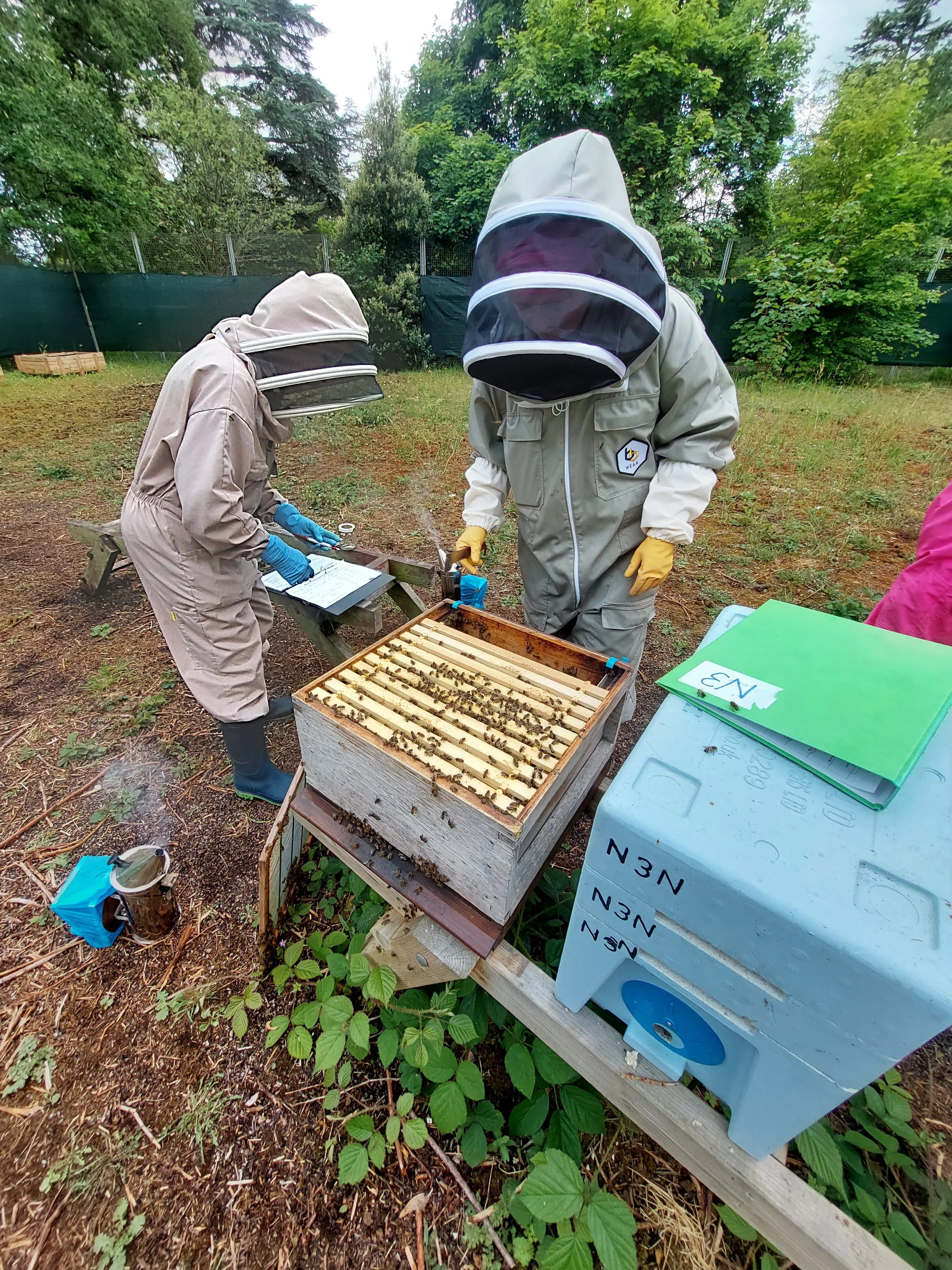 Two beekeepers in protective suits working with a beehive outdoors, surrounded by trees and greenery.