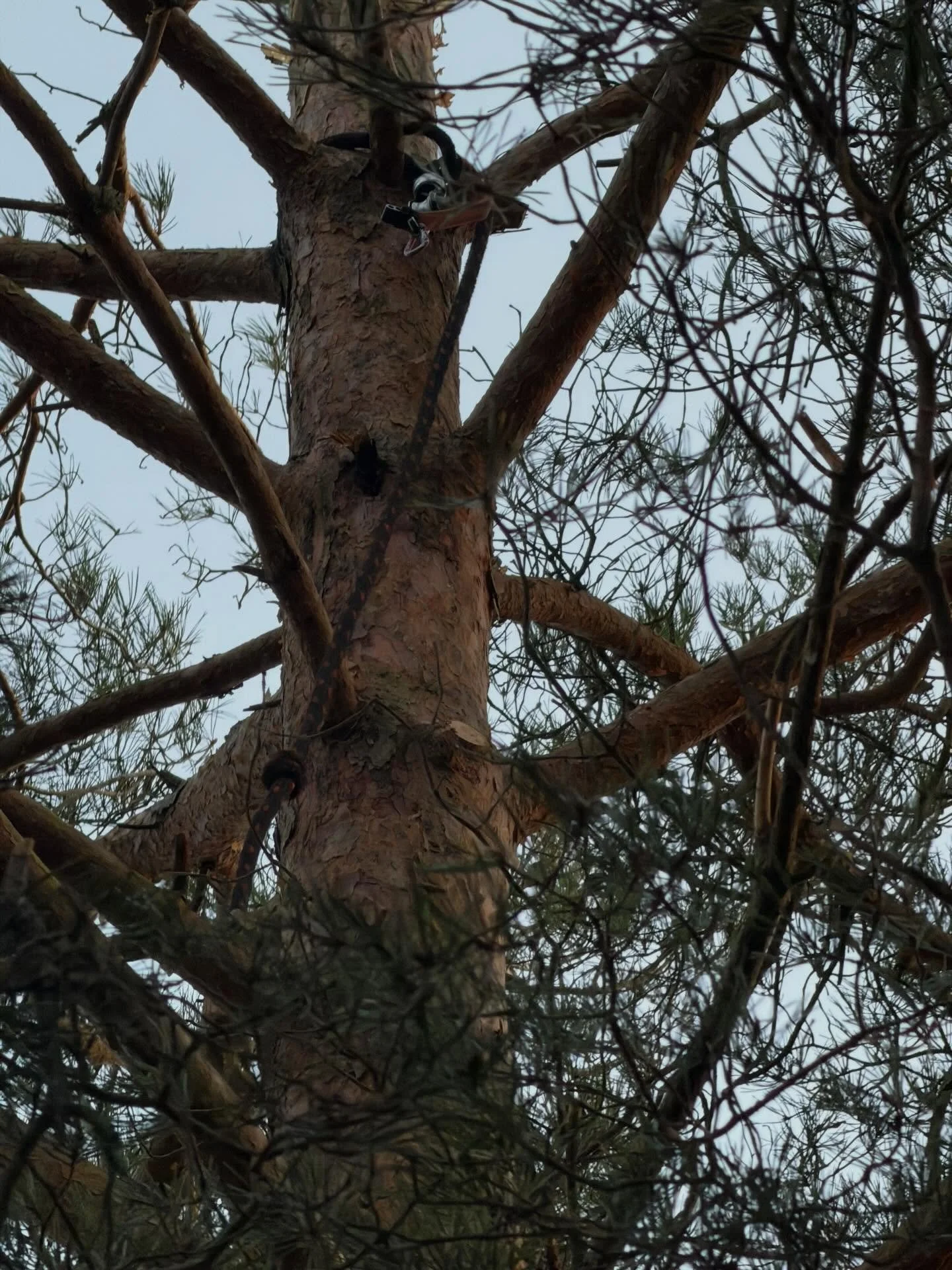 Fredag kl 15:20. Cambiumsavern blev kvar i toppen&hellip;. Ni som vet, ni vet. 😡😖