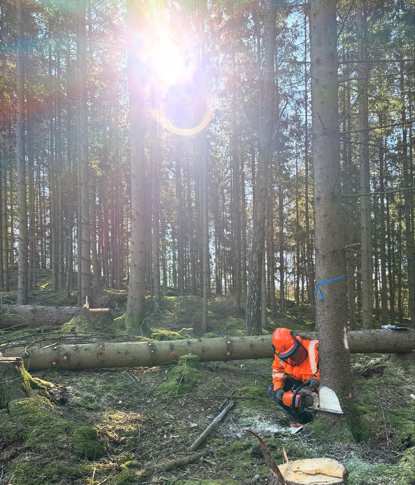 I dag var det examination p&aring; motors&aring;gsk&ouml;rkort f&ouml;r elever p&aring; Str&ouml;mma. Roligt med duktiga och motiverade gymnasister.