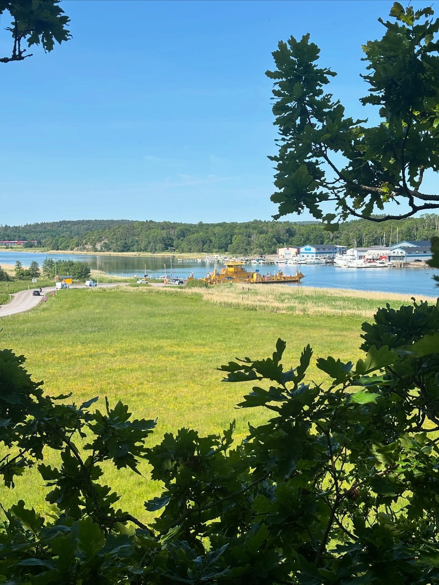 Vacker arbetsplats i dag. Det &auml;r s&aring;dana h&auml;r dagar jag vill minnas n&auml;r vinterns m&ouml;rker, regn och kyla g&ouml;r tillvaron mindre angen&auml;m.