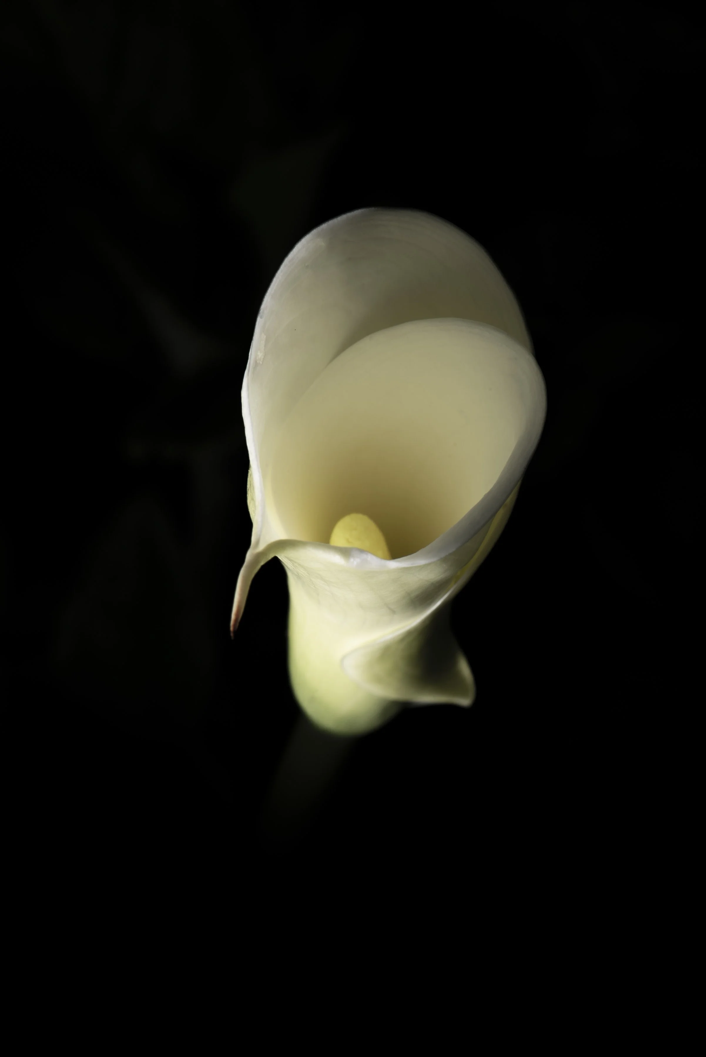 DSC_9111.jpg